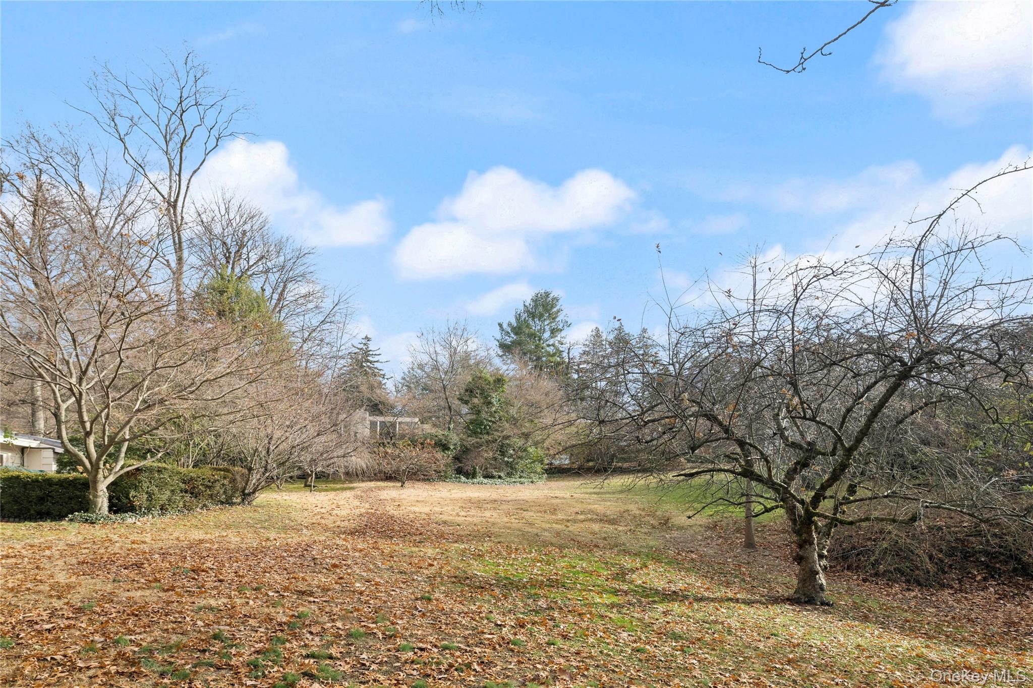Palisade Avenue Property Photo 3