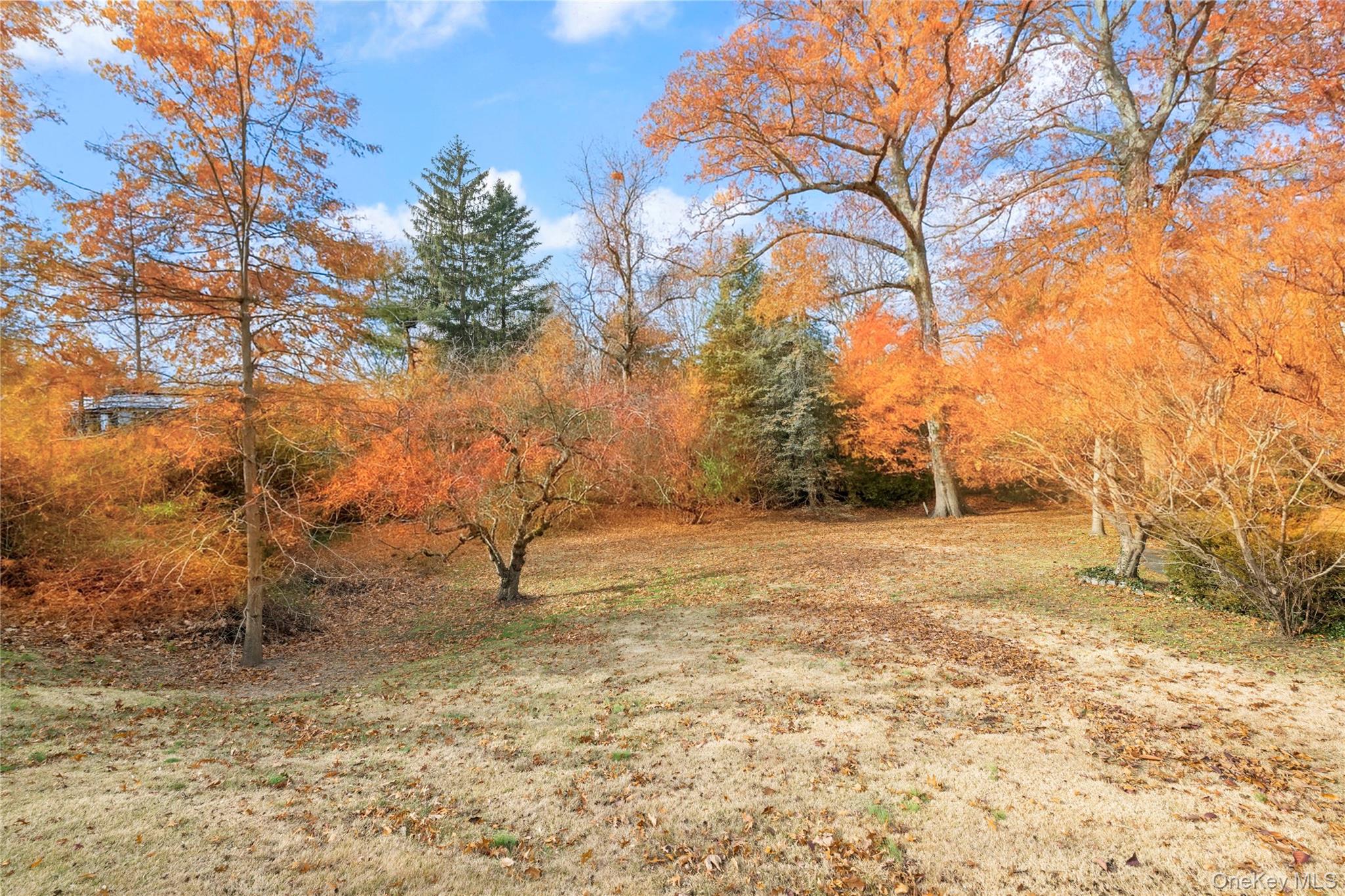 Palisade Avenue Property Photo 4