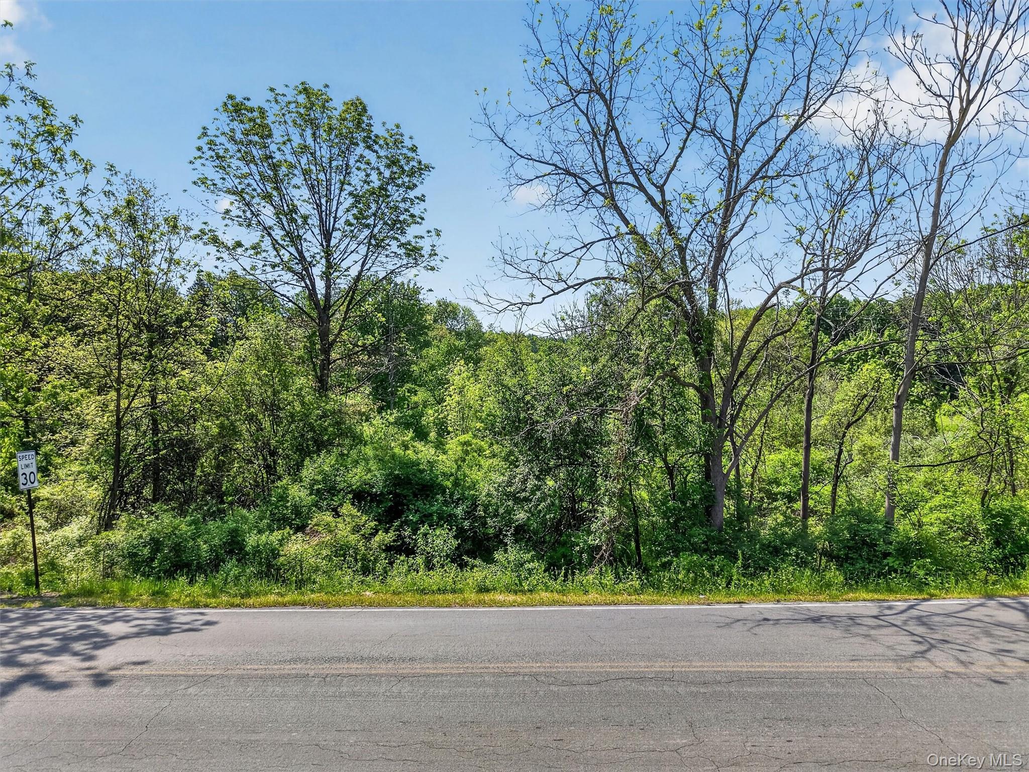 Moore's Hill Road Property Photo 2