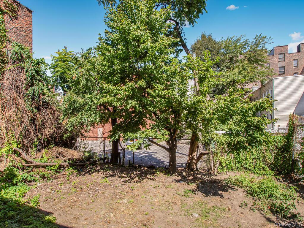 277 E 169th Street Property Photo 5