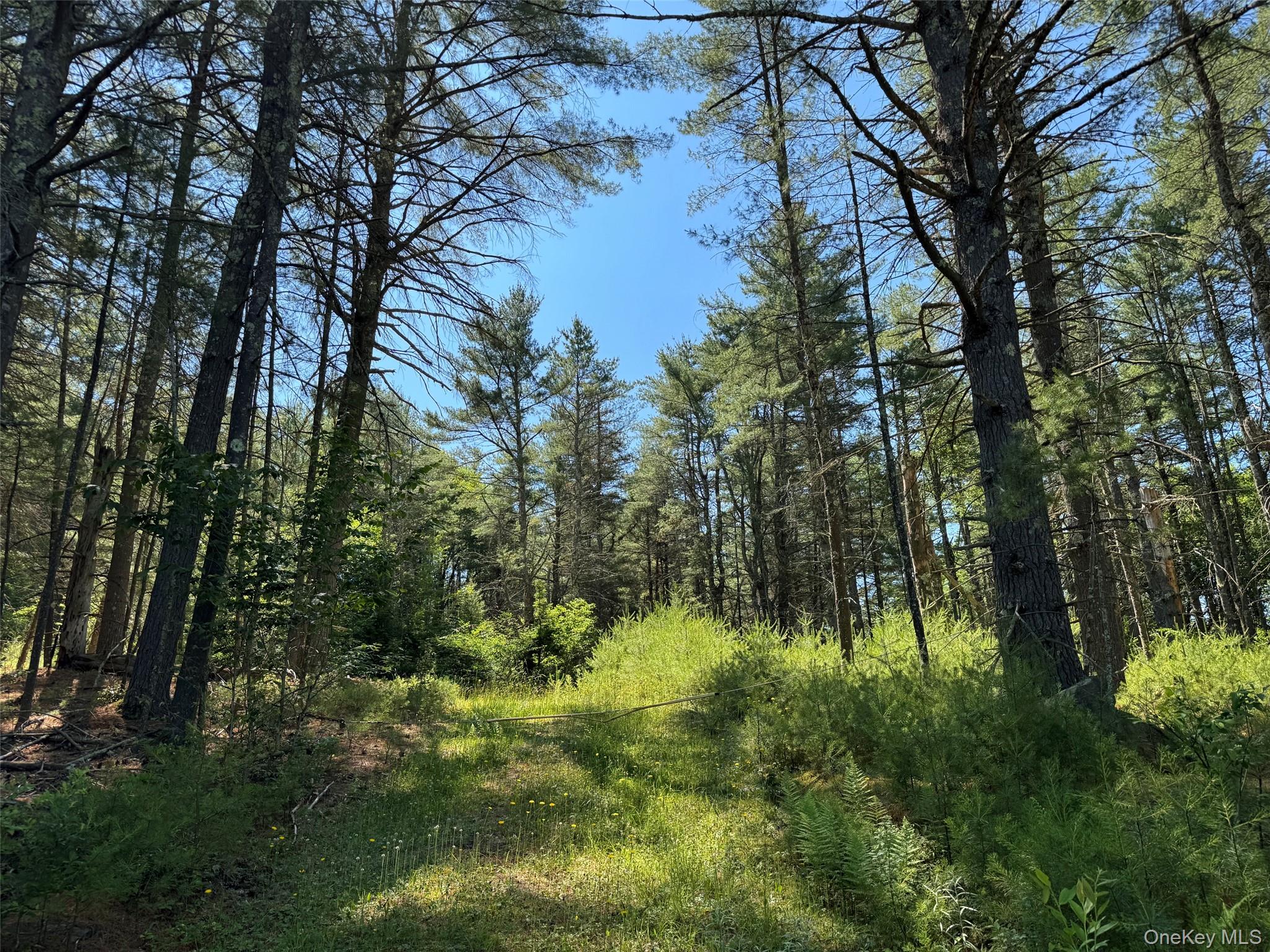 1315 Sackett Lake Rd Property Photo 1