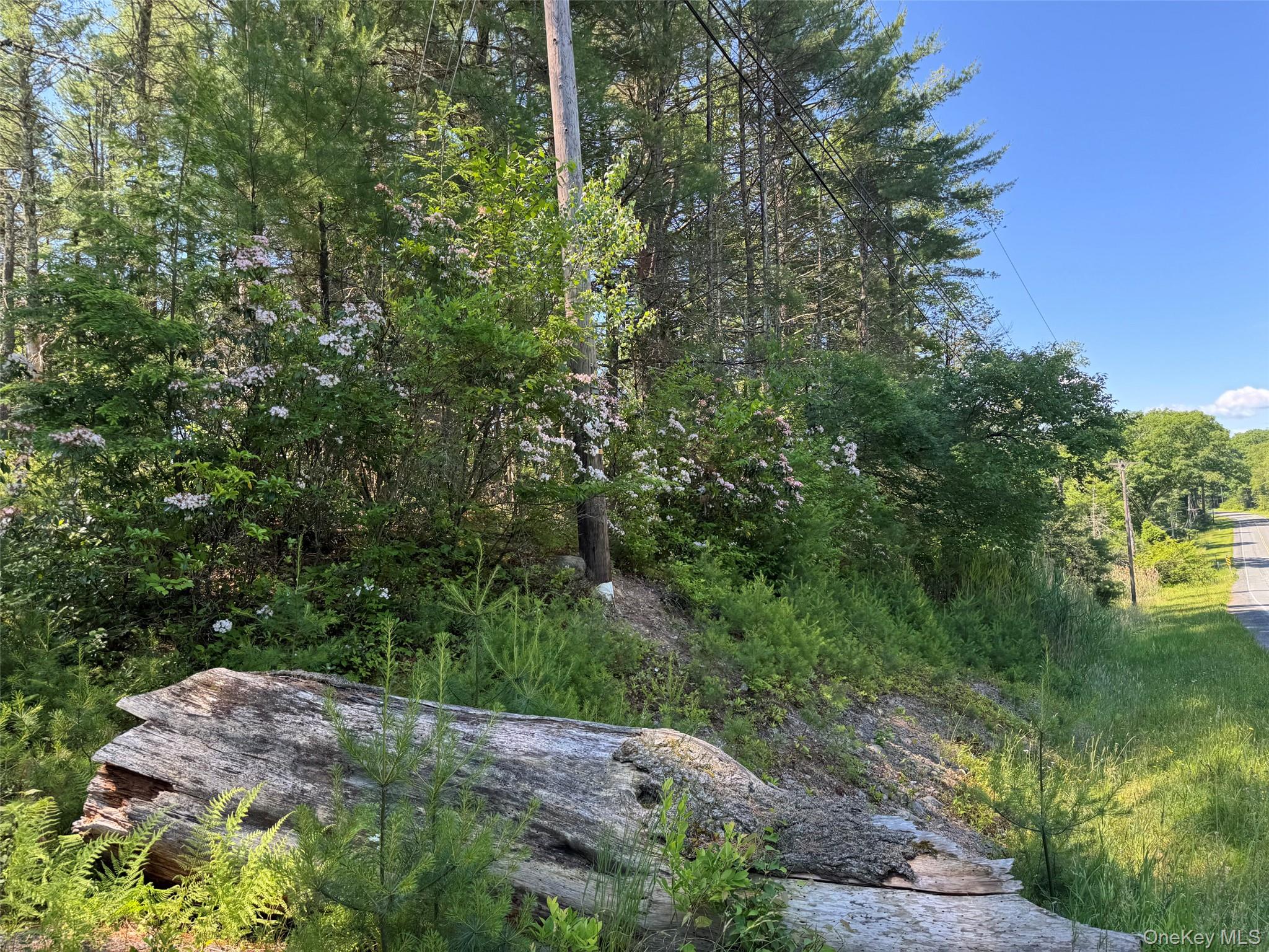 1315 Sackett Lake Rd Property Photo 2