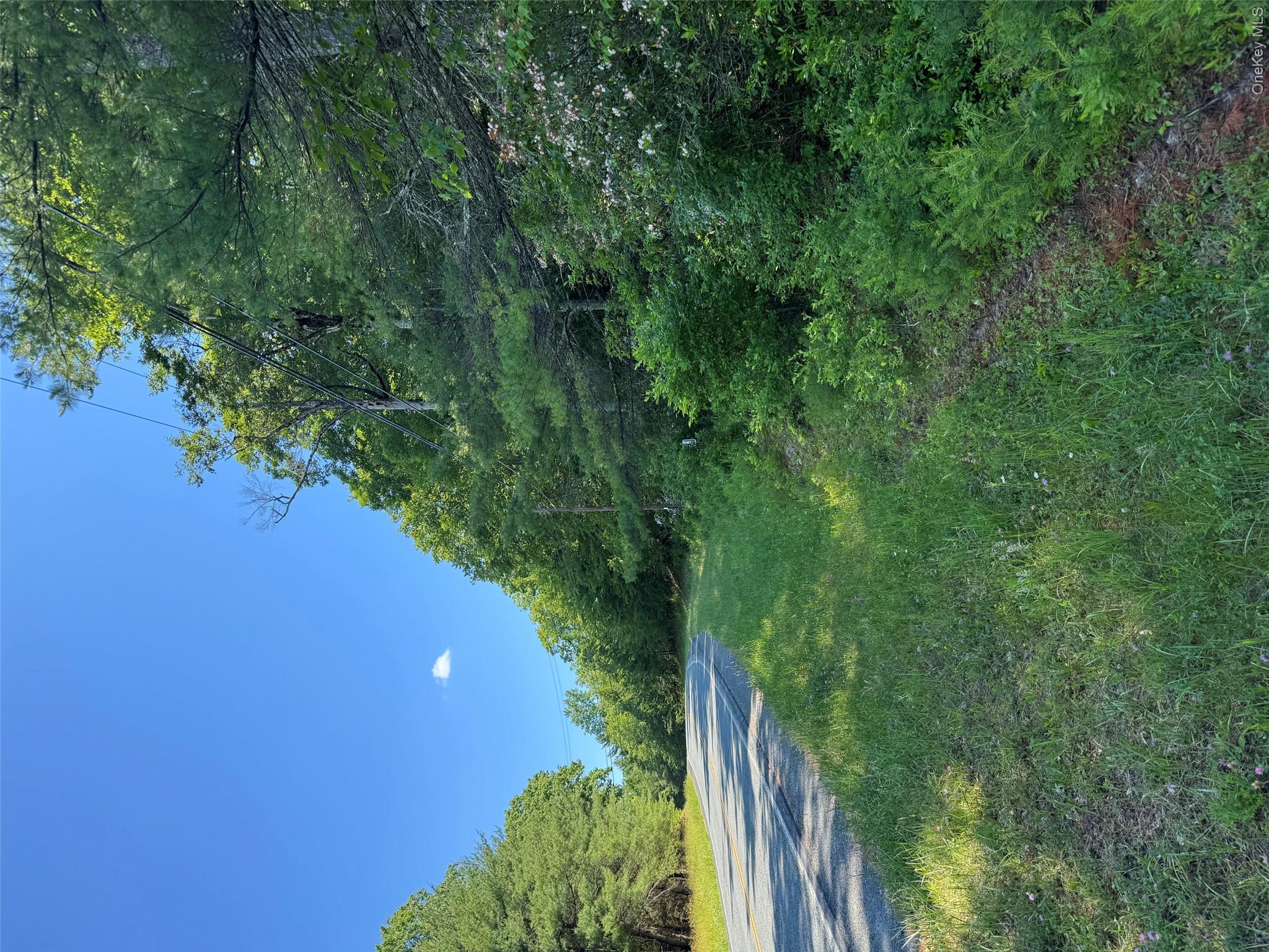 1315 Sackett Lake Rd Property Photo 3