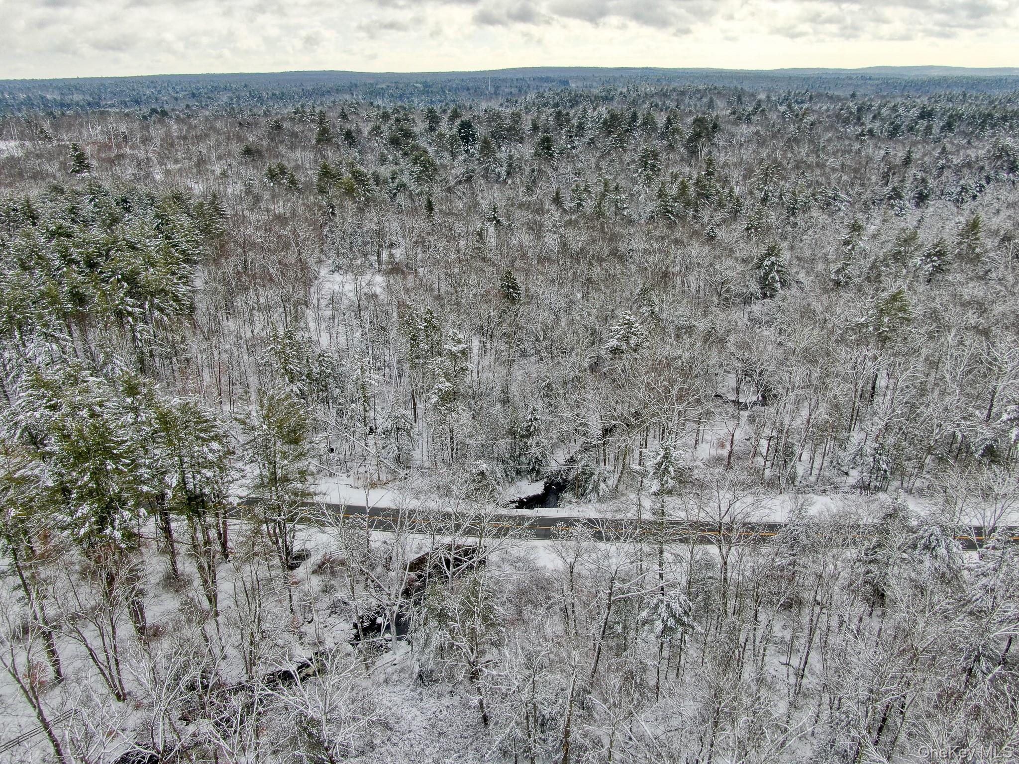 1315 Sackett Lake Rd Property Photo 7