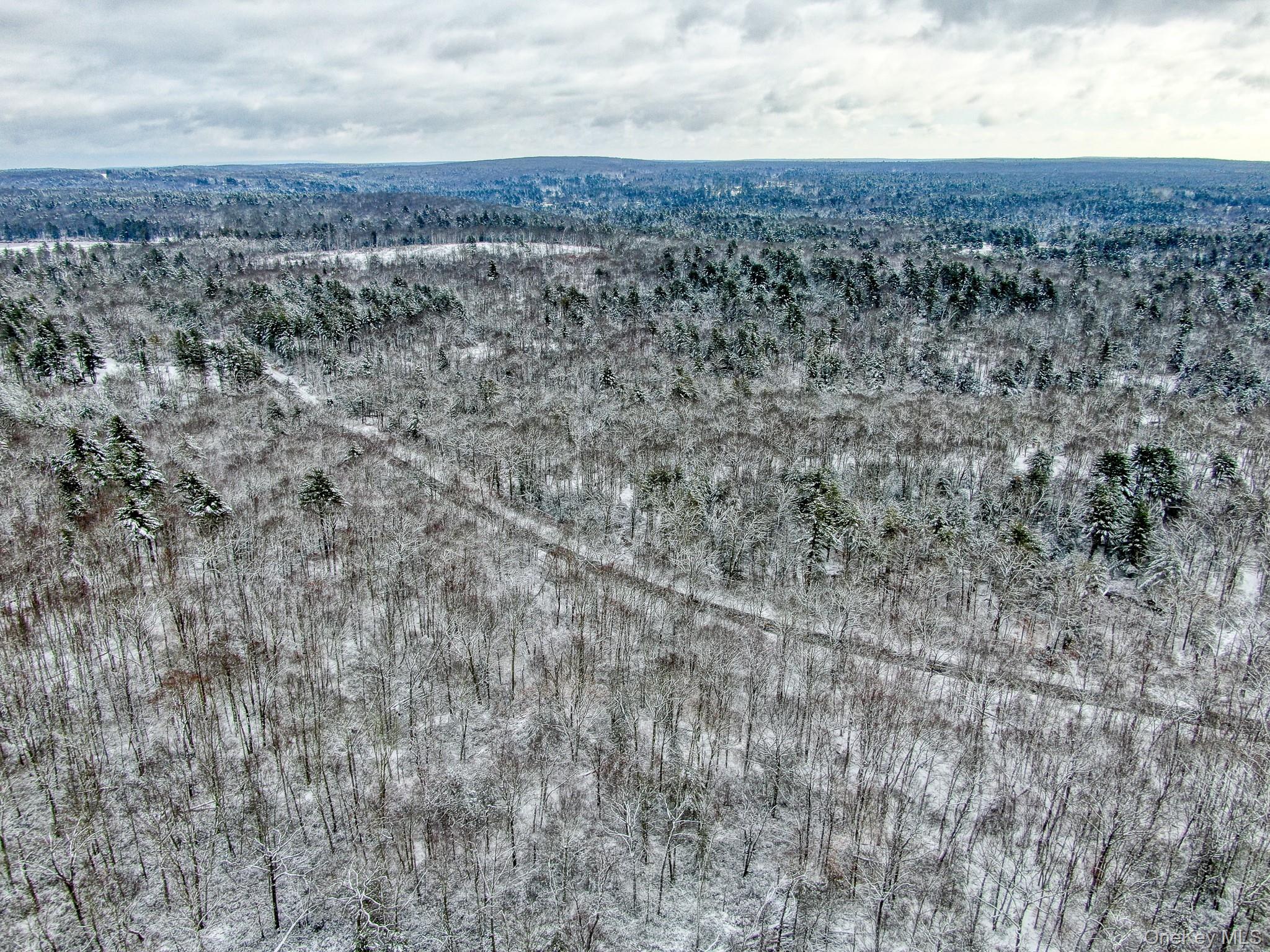 1315 Sackett Lake Rd Property Photo 22