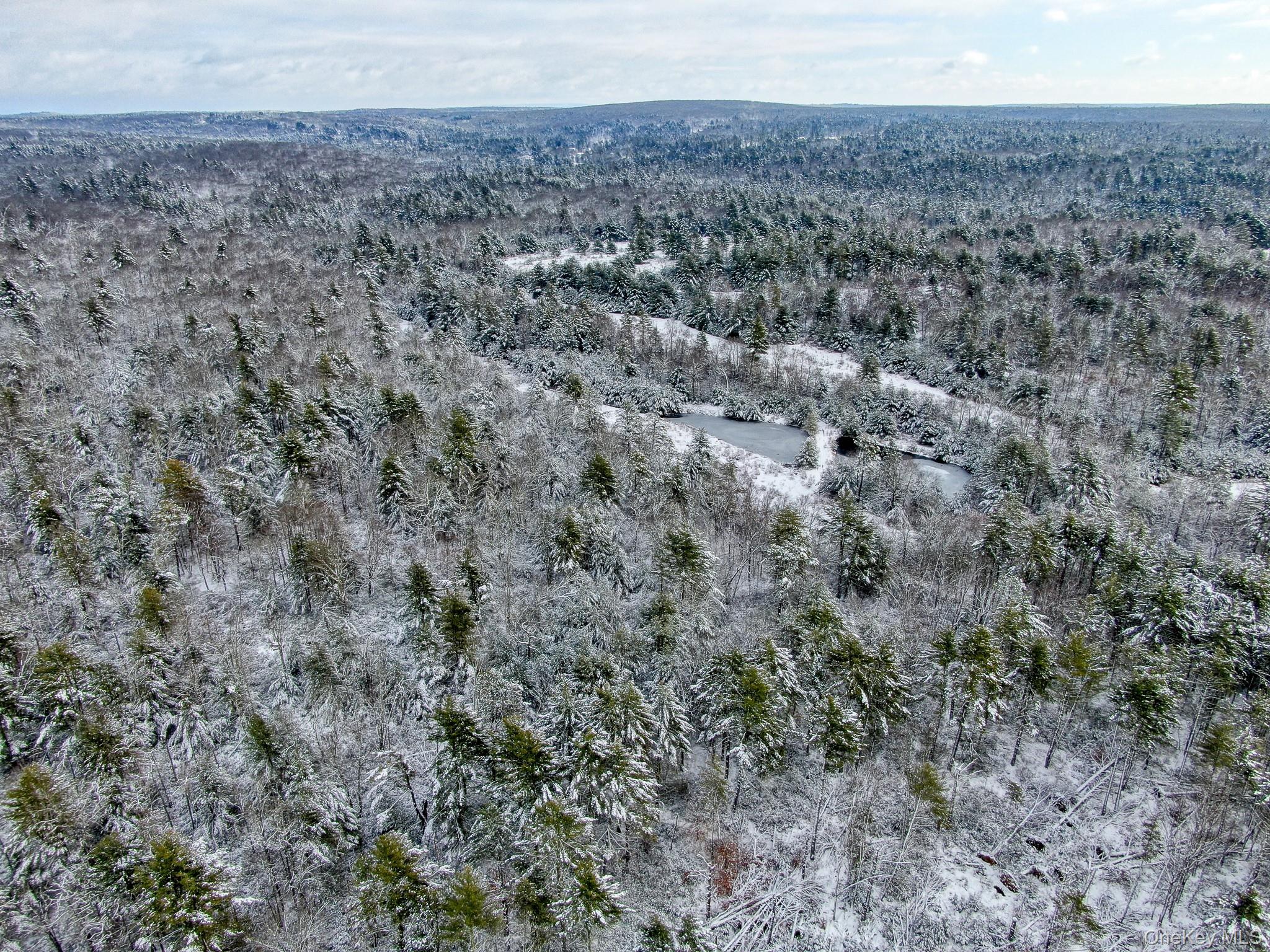 1315 Sackett Lake Rd Property Photo 26