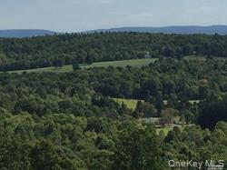 Greeley Road /rte 27 Property Photo 1
