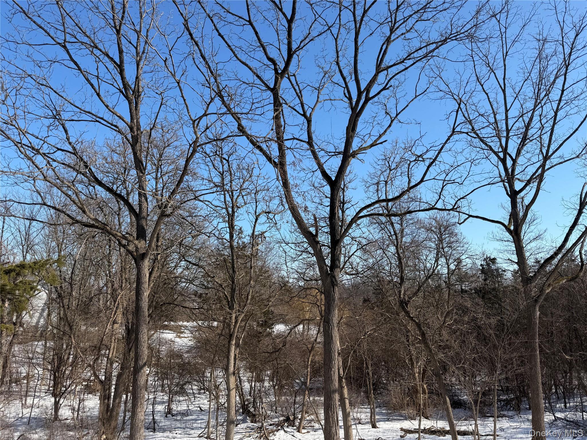 8874 Us Route 9w Property Photo 38