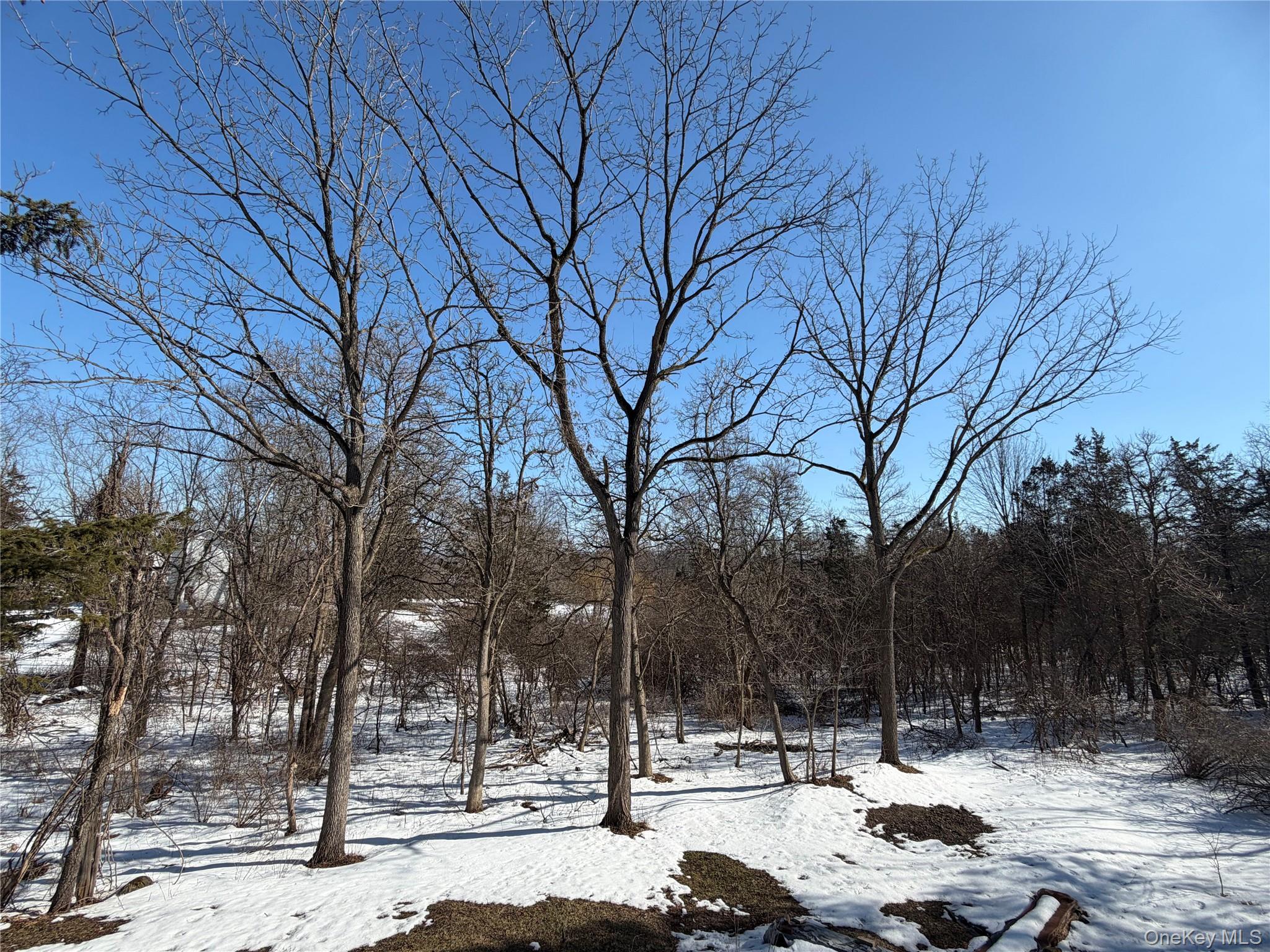 8874 Us Route 9w Property Photo 39