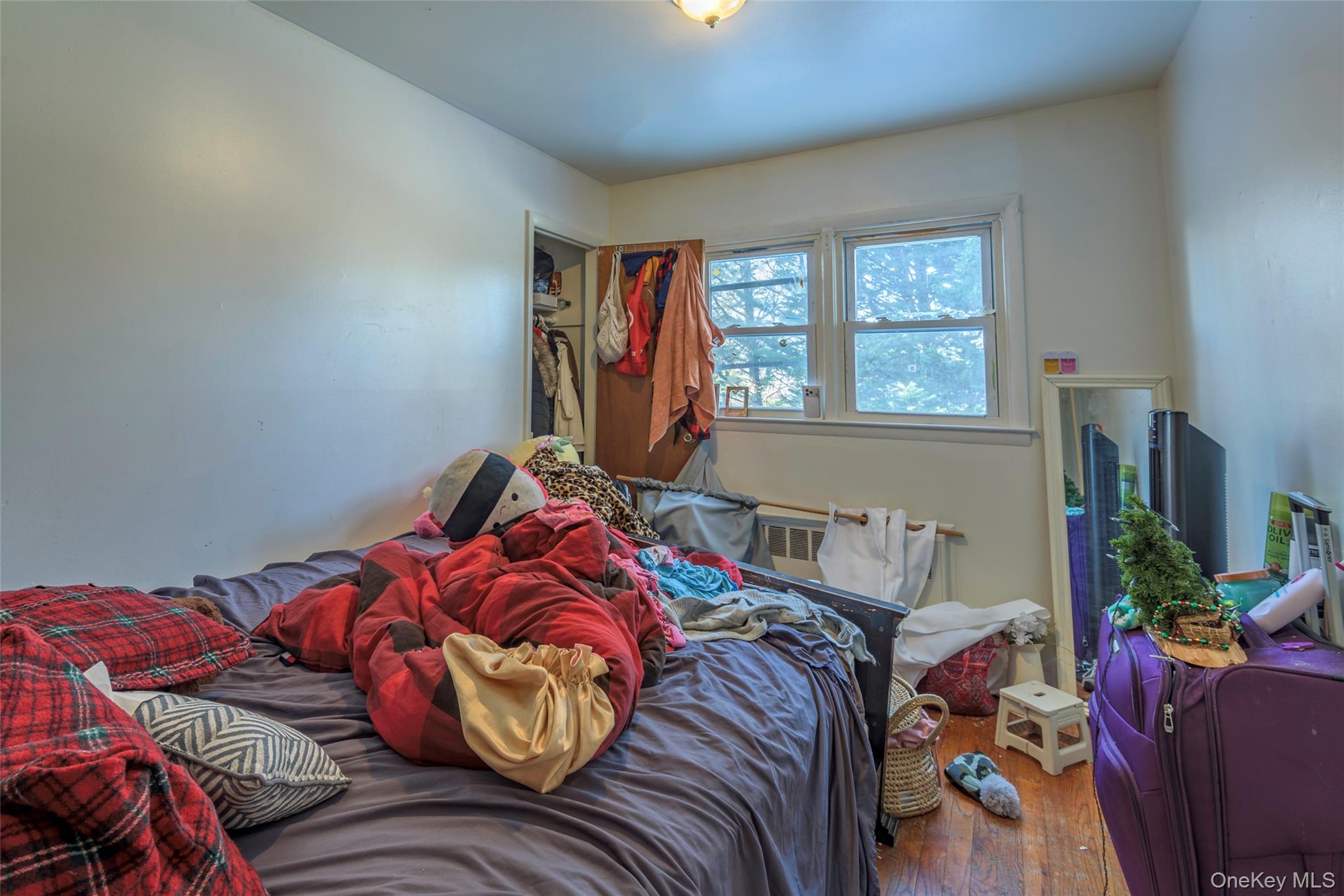 24 Jackson Street Property Photo 10