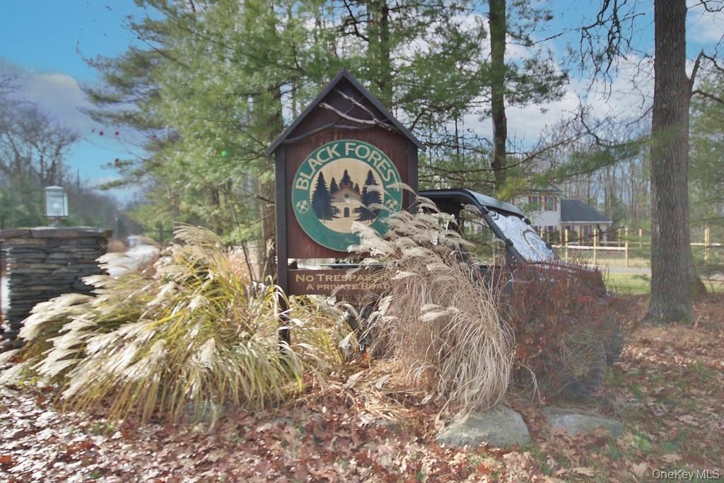 134 Black Forest Road Property Photo 17