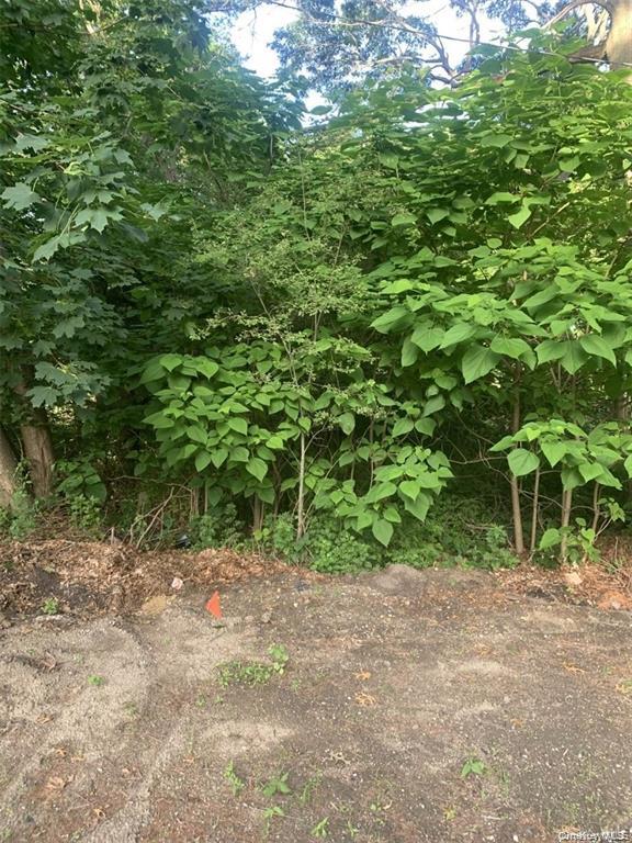 Roosevelt Boulevard Property Photo 1