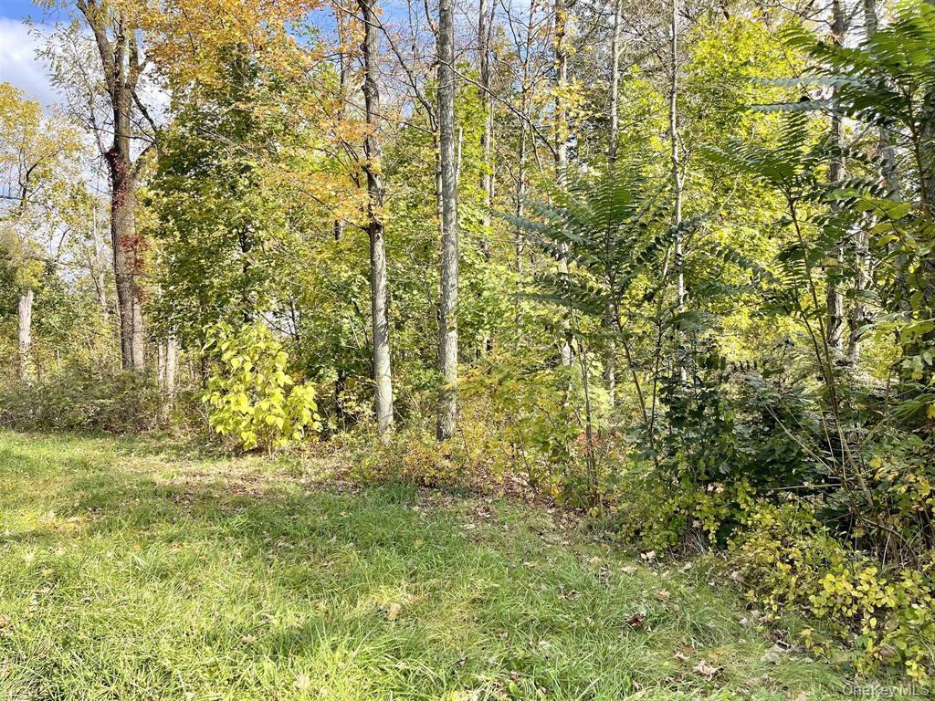 534 Violet Avenue Property Photo 2