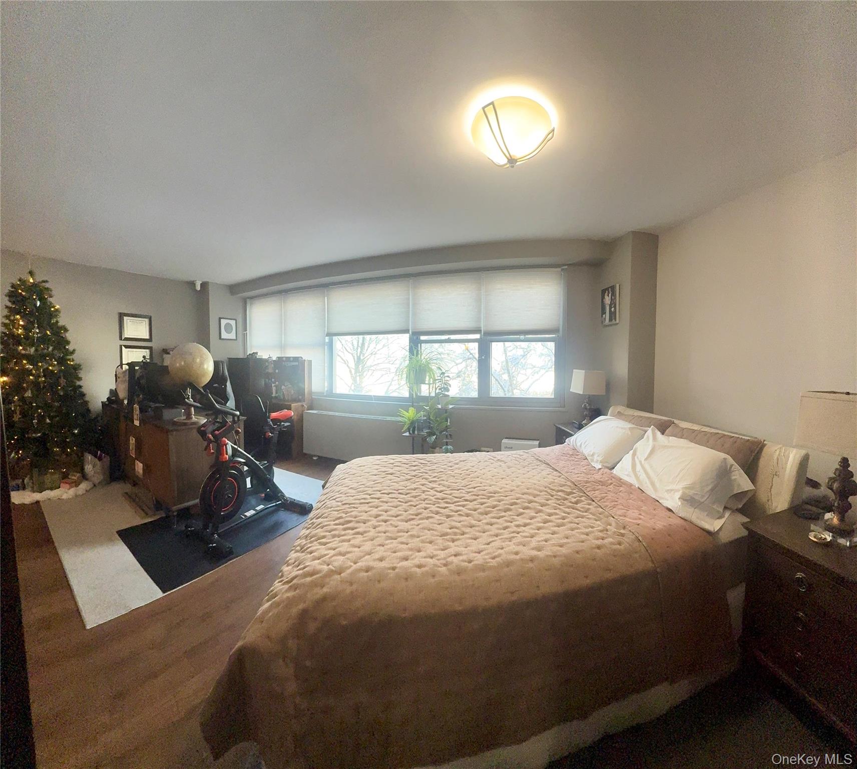 61-20 Grand Central Parkway B 410 Property Photo 15