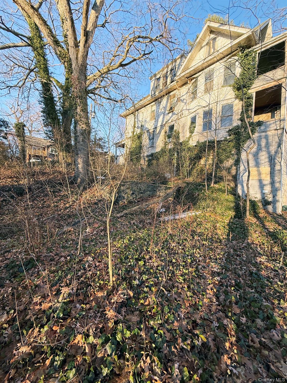 6 Aka 10 Rossmore Avenue Property Photo 6