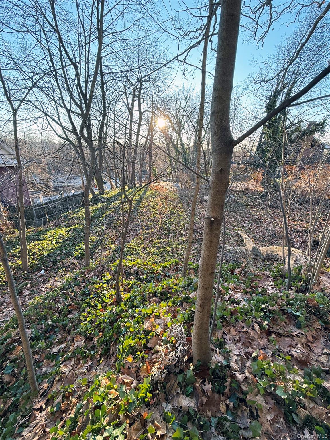6 Aka 10 Rossmore Avenue Property Photo 10