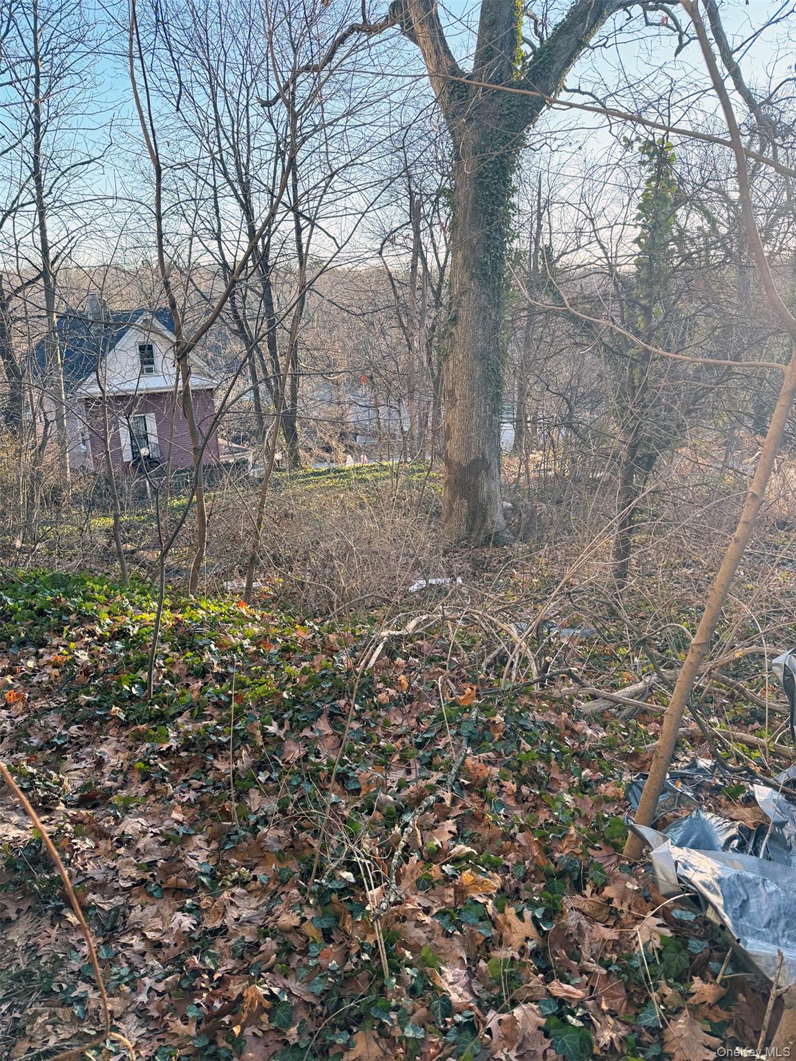 6 Aka 10 Rossmore Avenue Property Photo 11