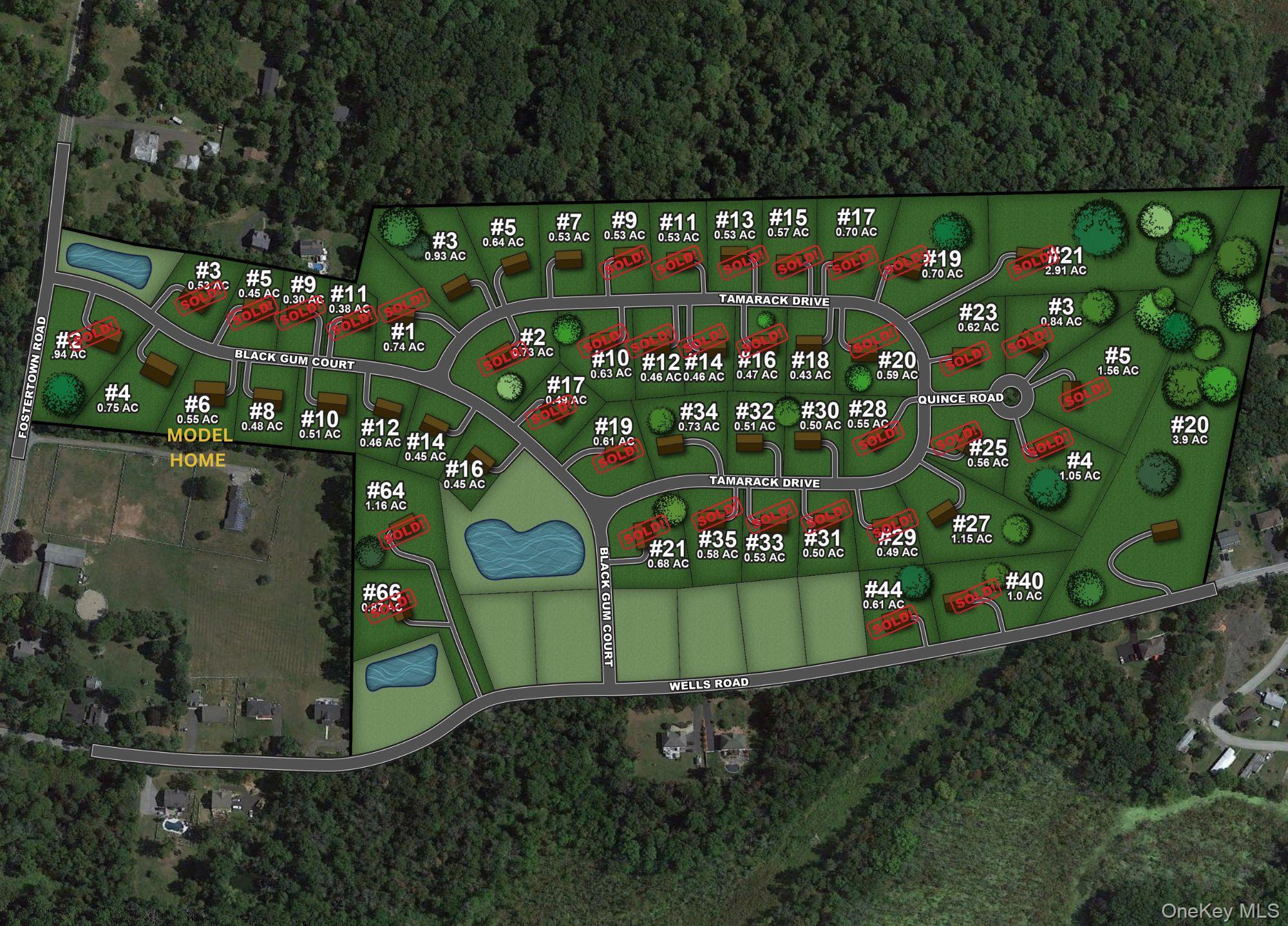 9 Black Gum Court Property Photo 3