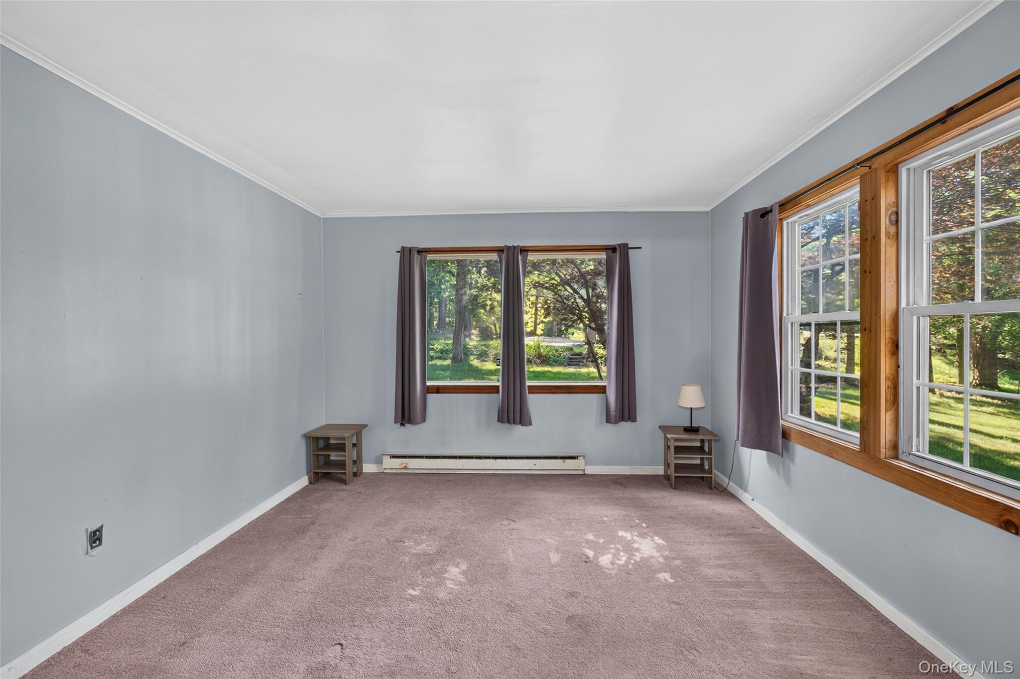 50 Park Road Property Photo 10