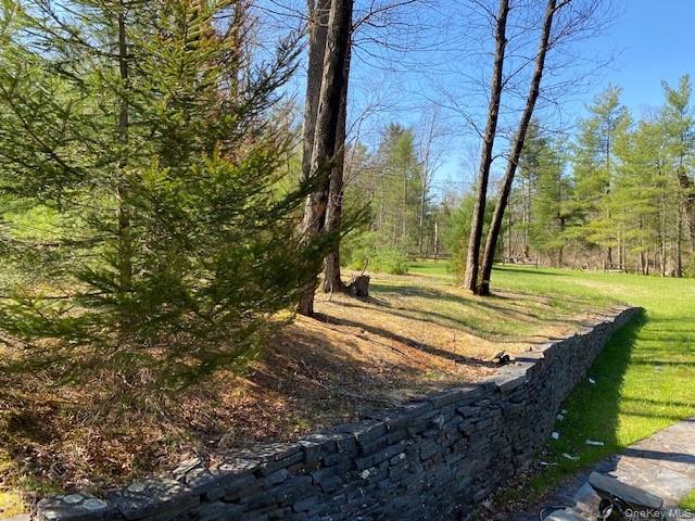 592 Proctor Road Property Photo 2