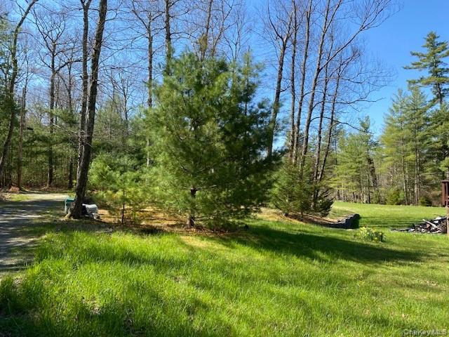 592 Proctor Road Property Photo 6