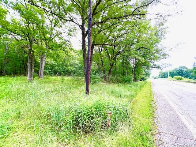 7584 N Route 97 Property Photo 1