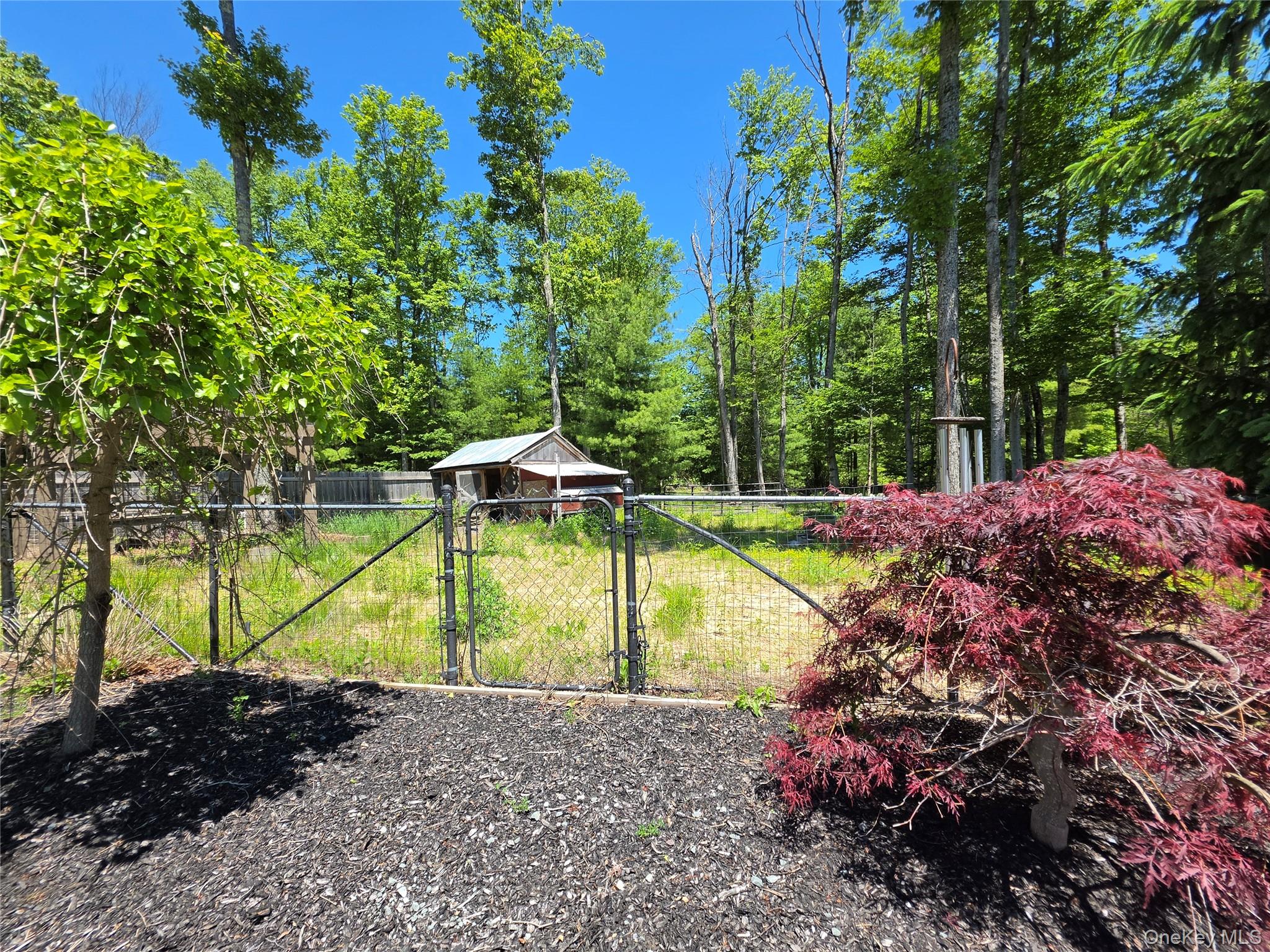 123 Wildwood Way Property Photo 49