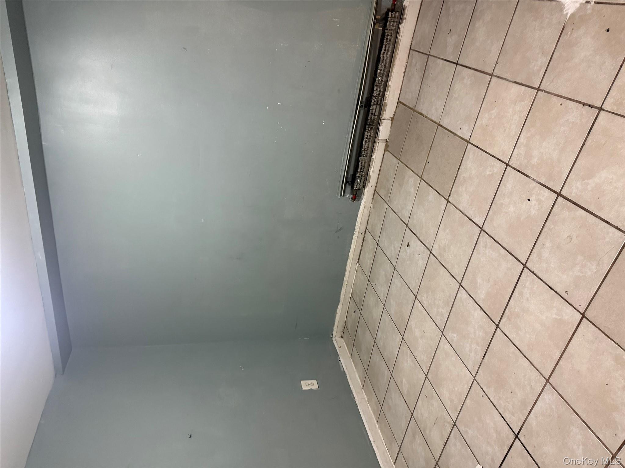 169 Euclid Avenue Property Photo 16