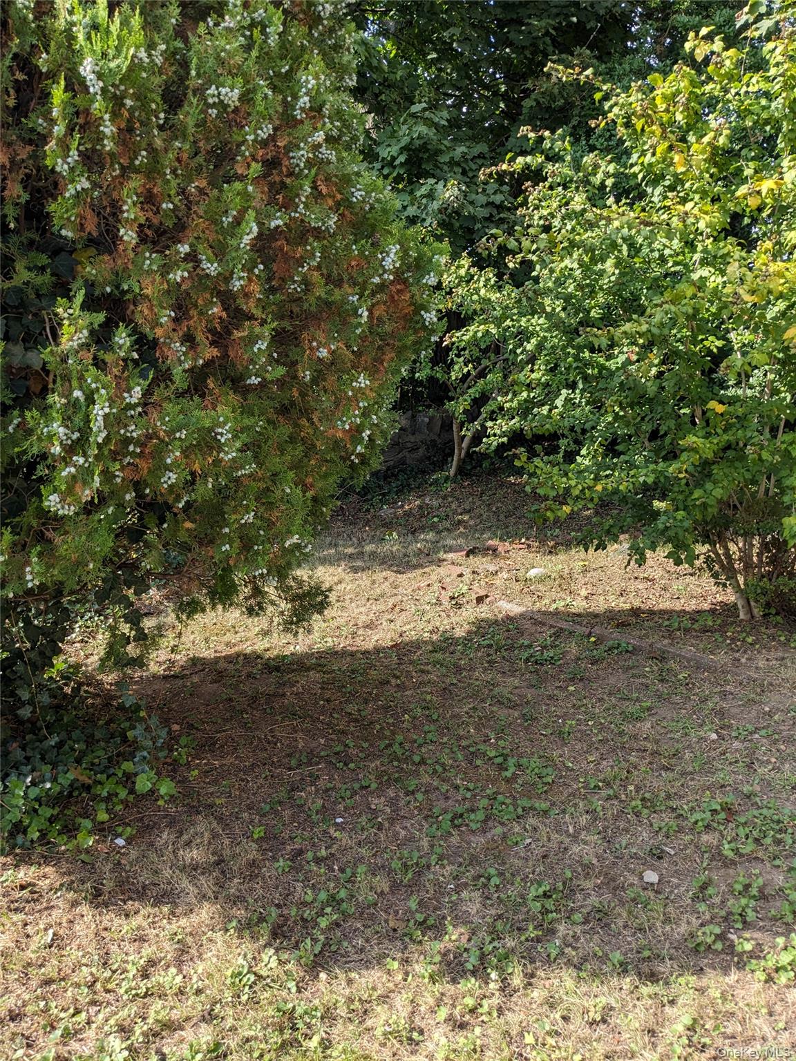 6209 Spencer Terrace Property Photo 20
