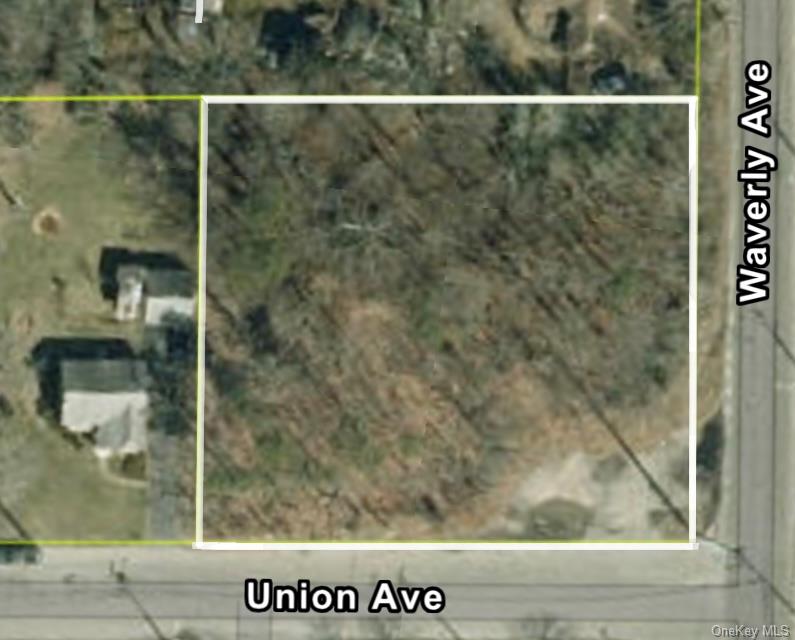 Waverly Avenue Property Photo 1