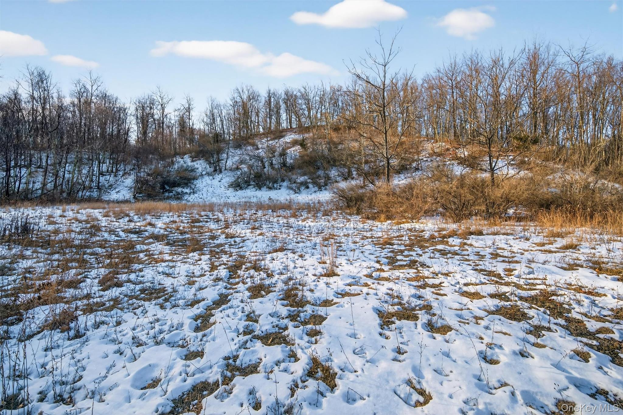 Tbd Eatontown Road Property Photo 3