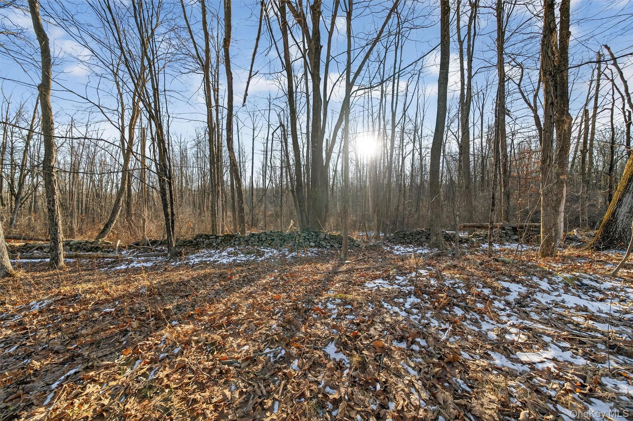 Tbd Eatontown Road Property Photo 4