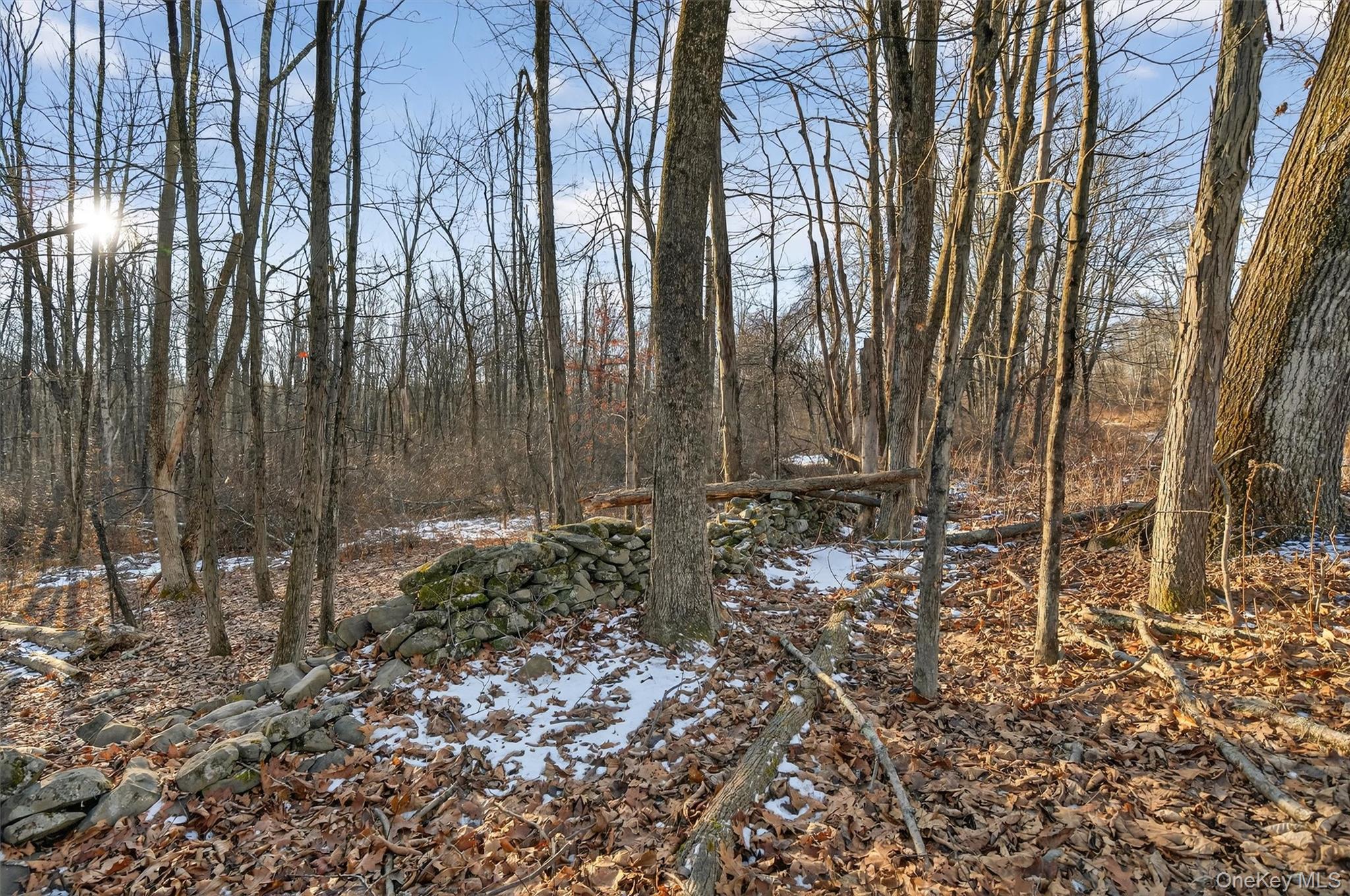 Tbd Eatontown Road Property Photo 5