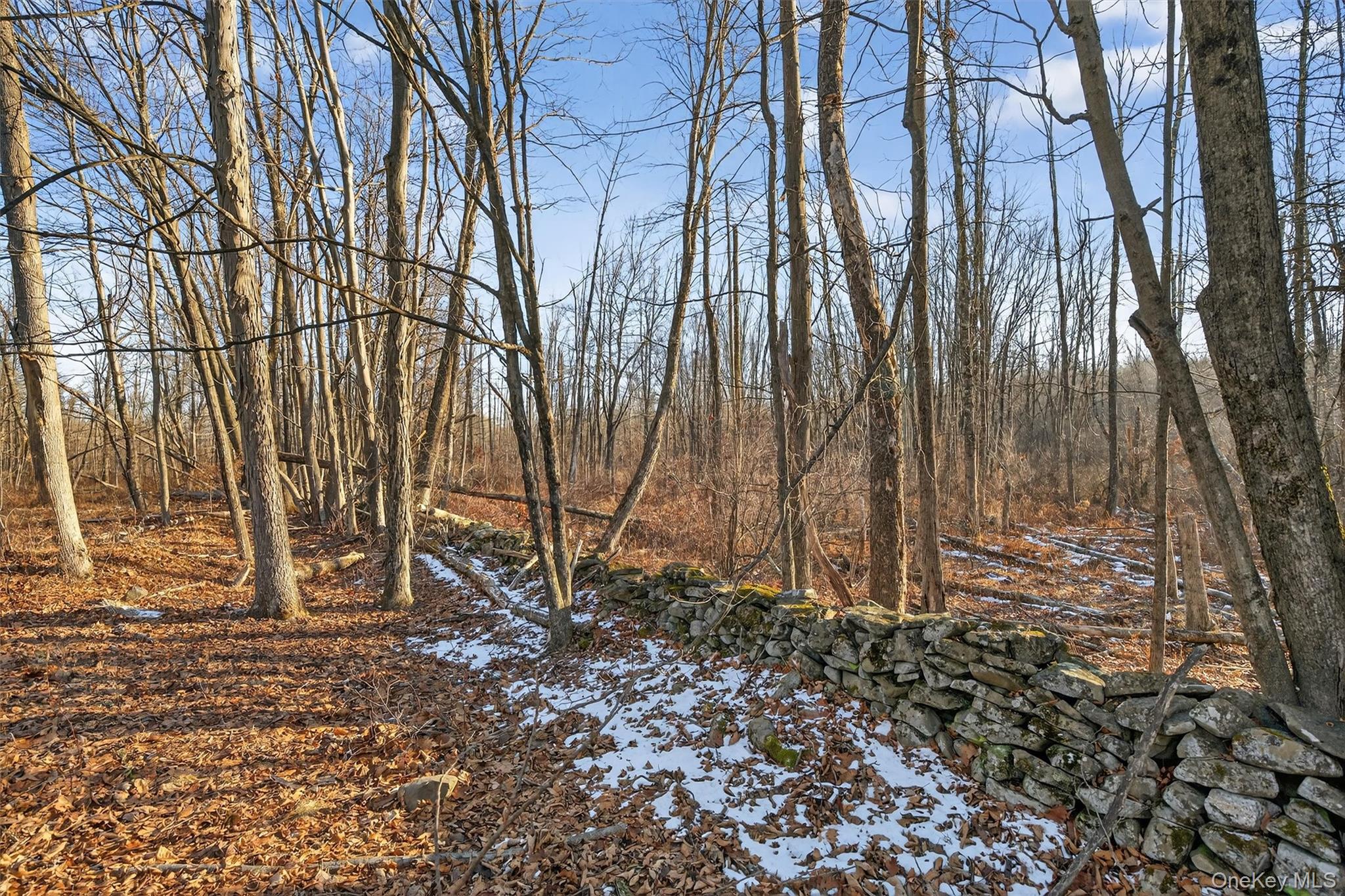 Tbd Eatontown Road Property Photo 6