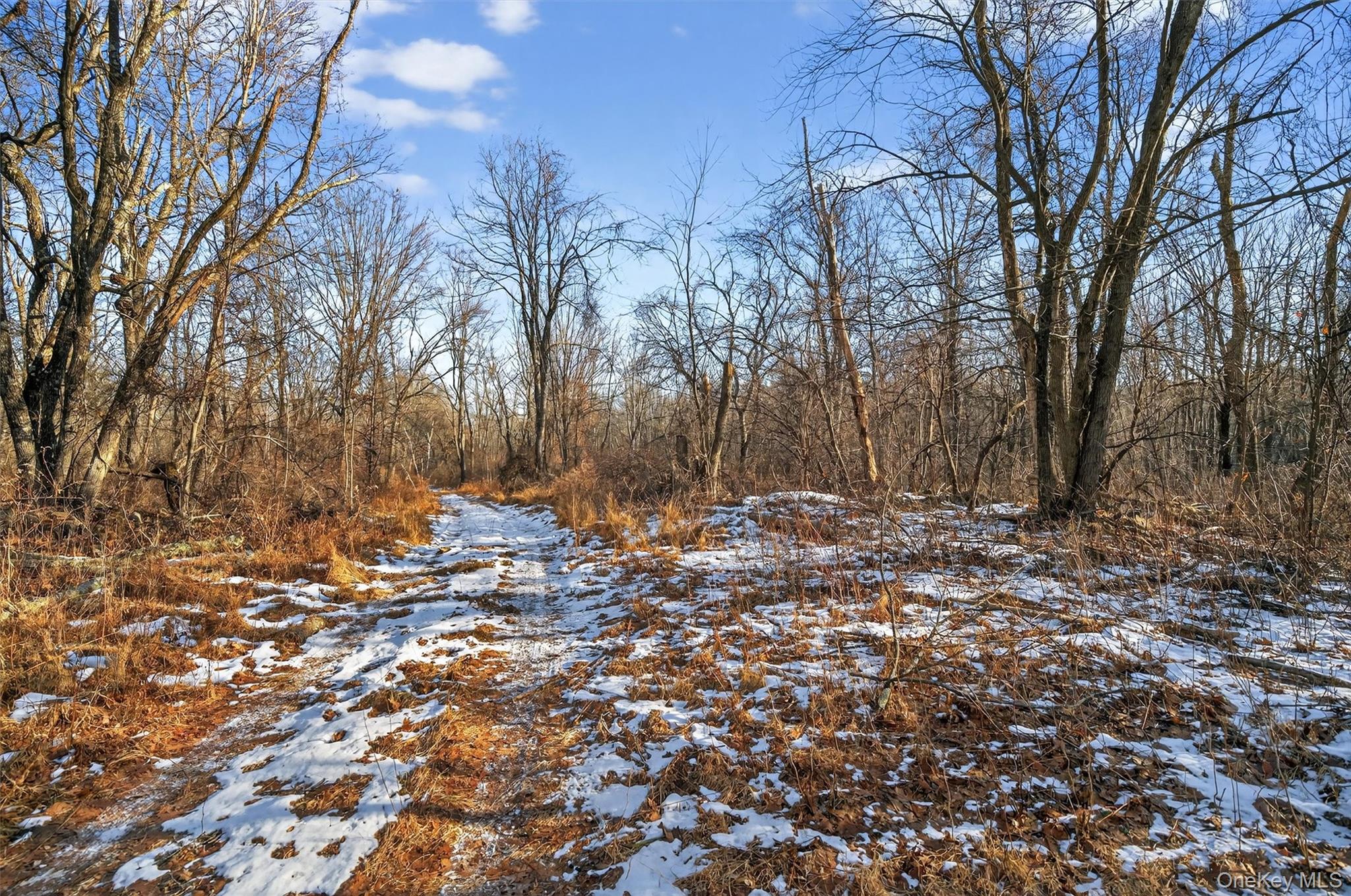 Tbd Eatontown Road Property Photo 7
