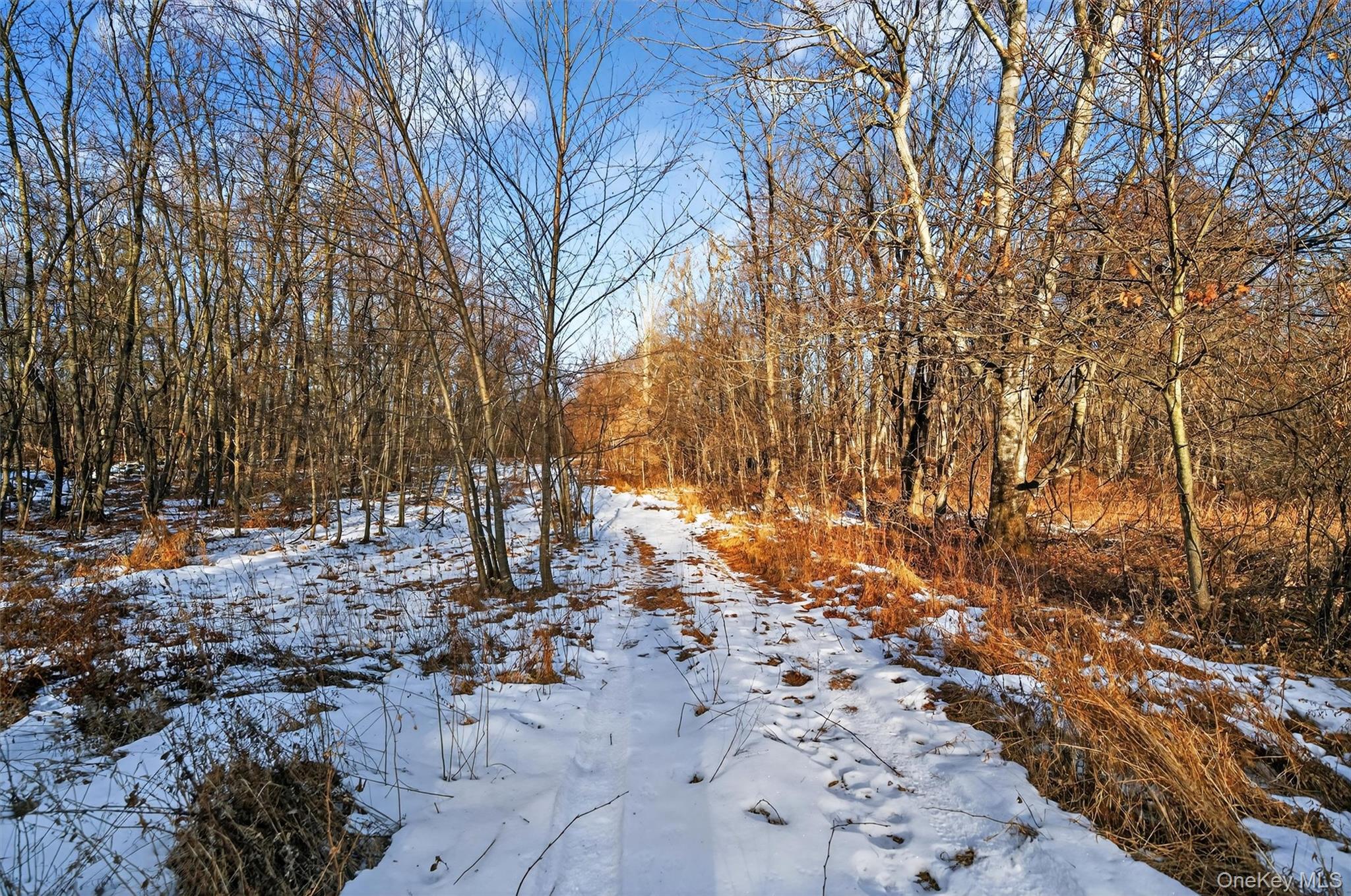 Tbd Eatontown Road Property Photo 8