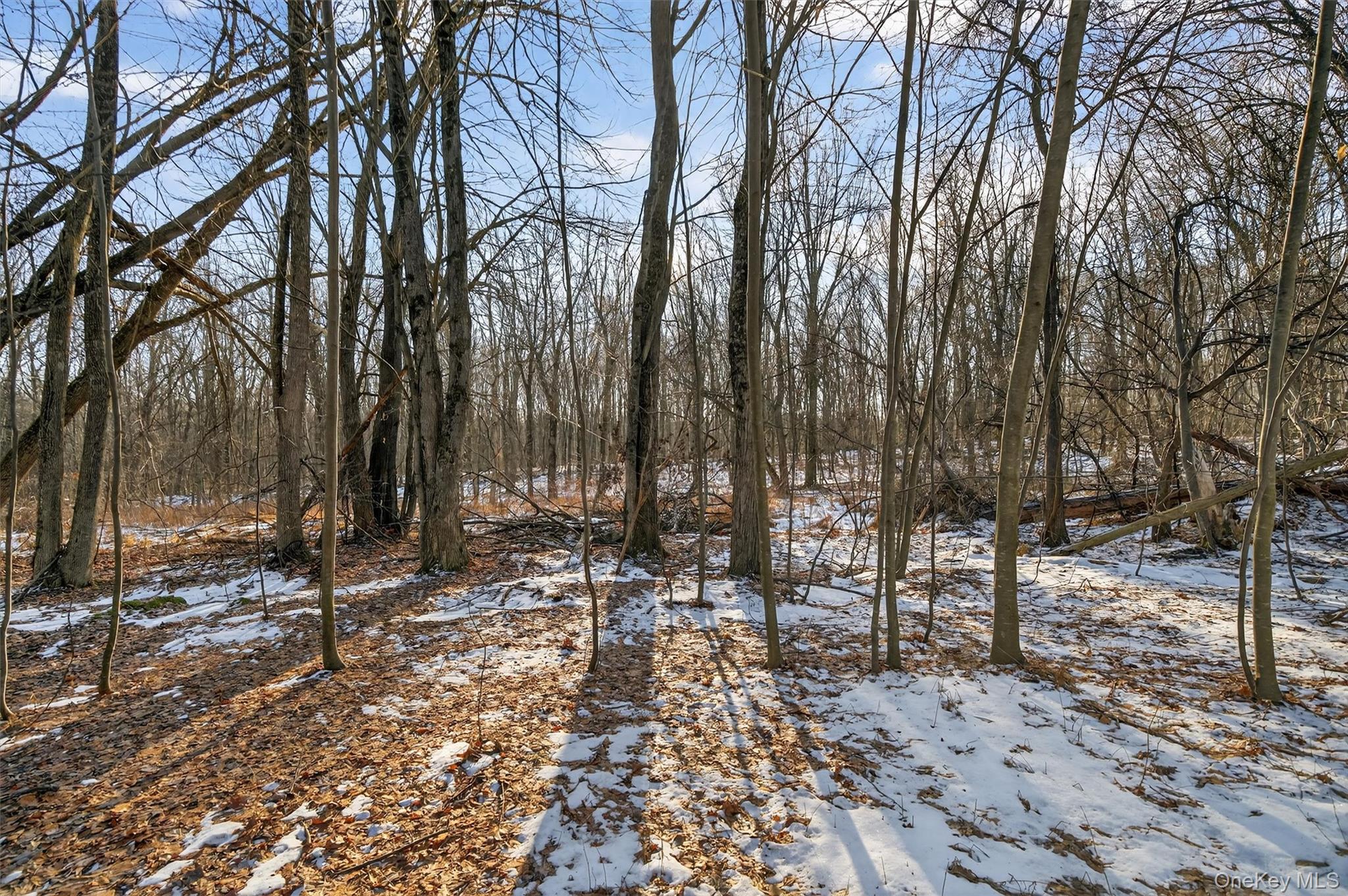 Tbd Eatontown Road Property Photo 9