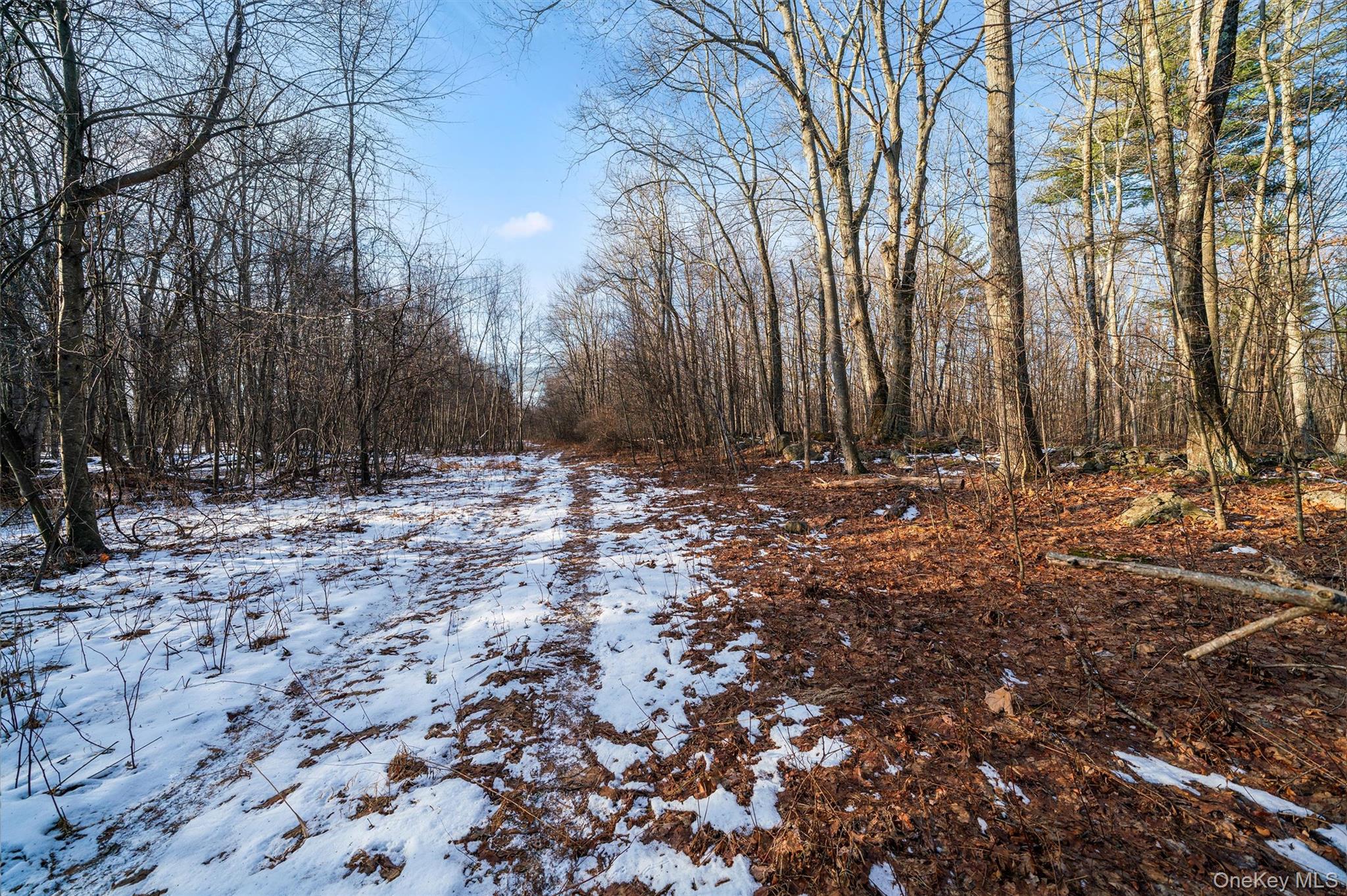 Tbd Eatontown Road Property Photo 10