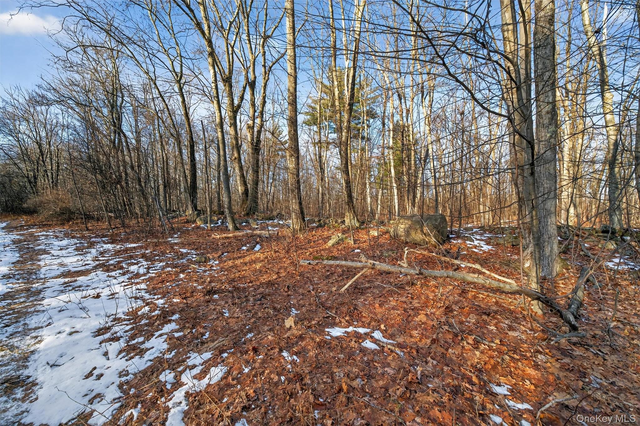 Tbd Eatontown Road Property Photo 11
