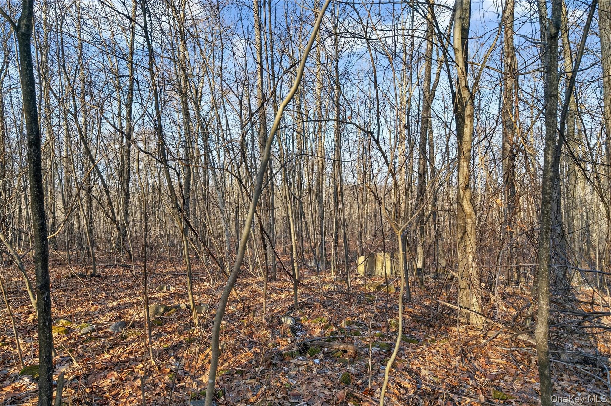 Tbd Eatontown Road Property Photo 14