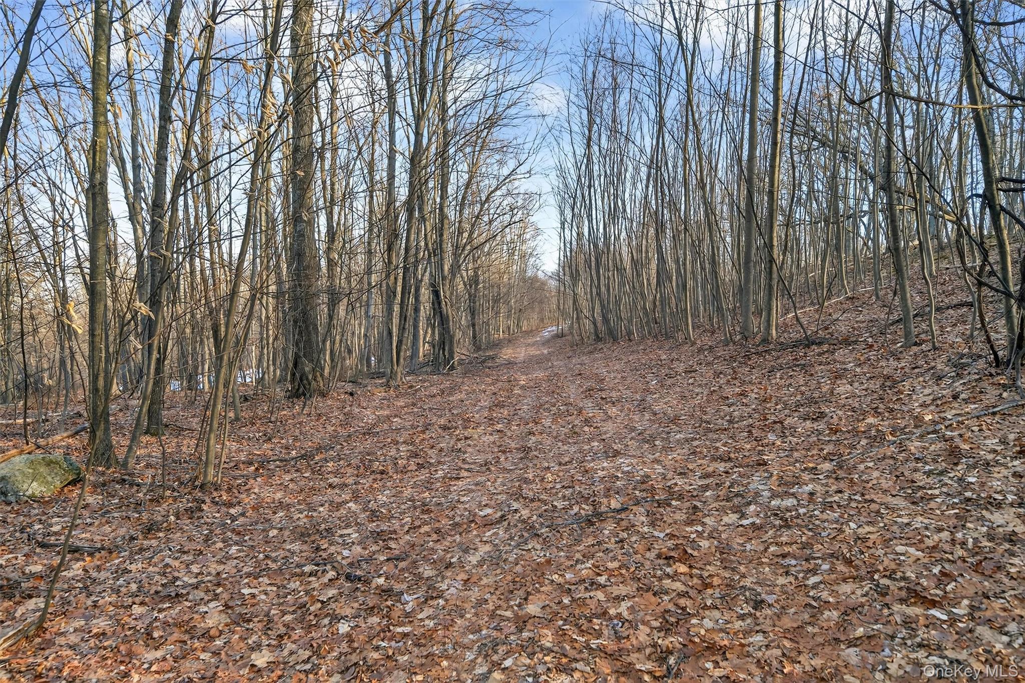 Tbd Eatontown Road Property Photo 15