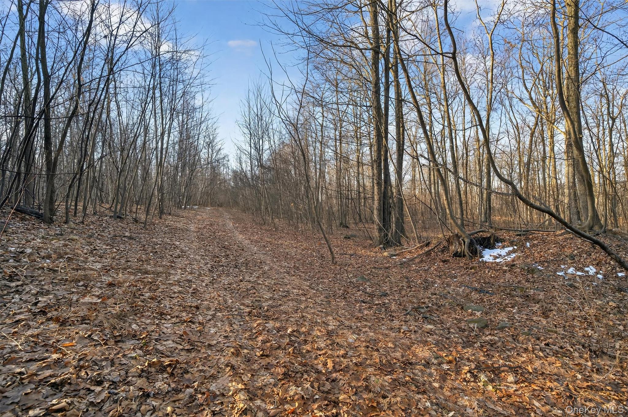 Tbd Eatontown Road Property Photo 16