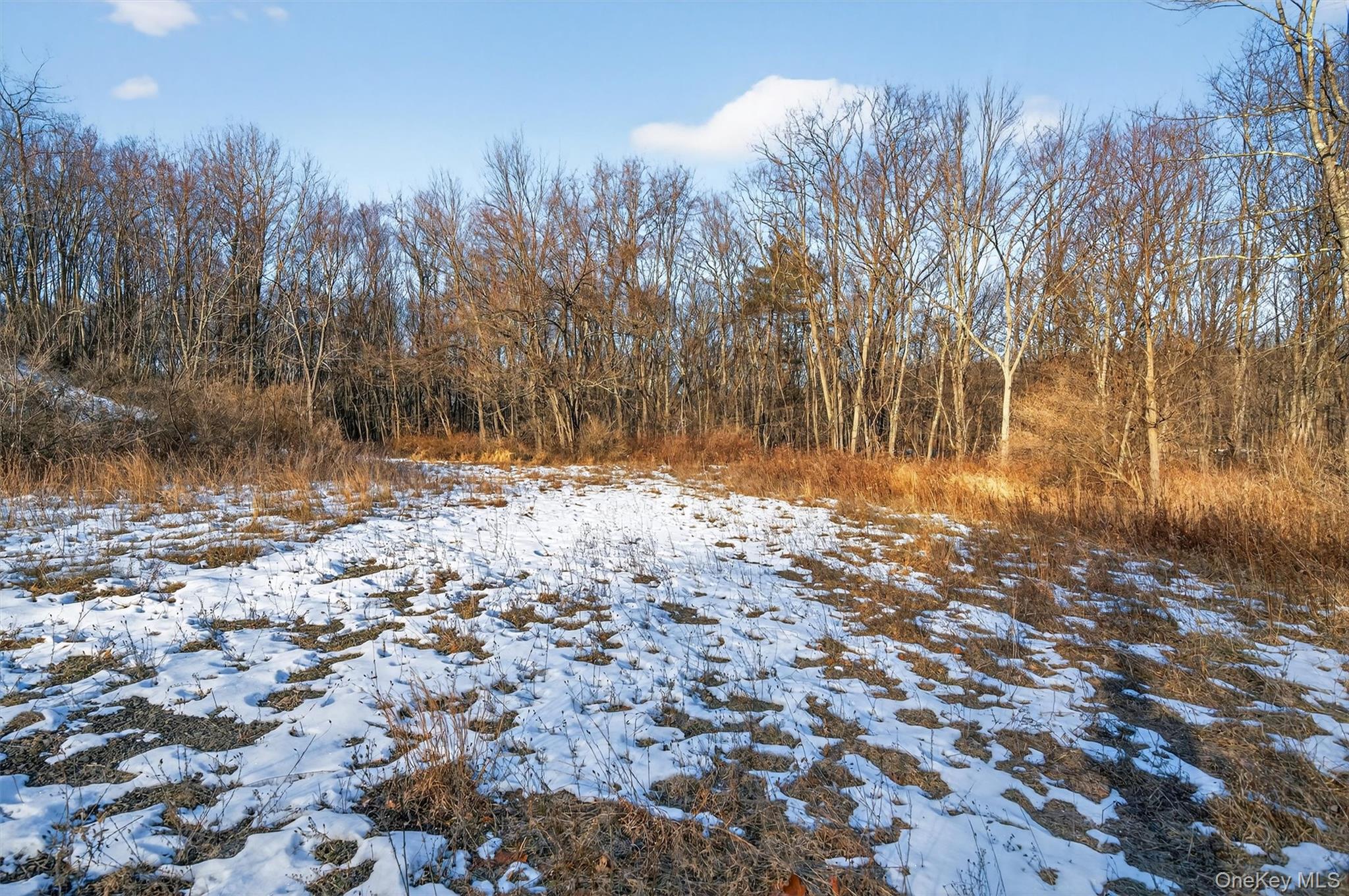 Tbd Eatontown Road Property Photo 17