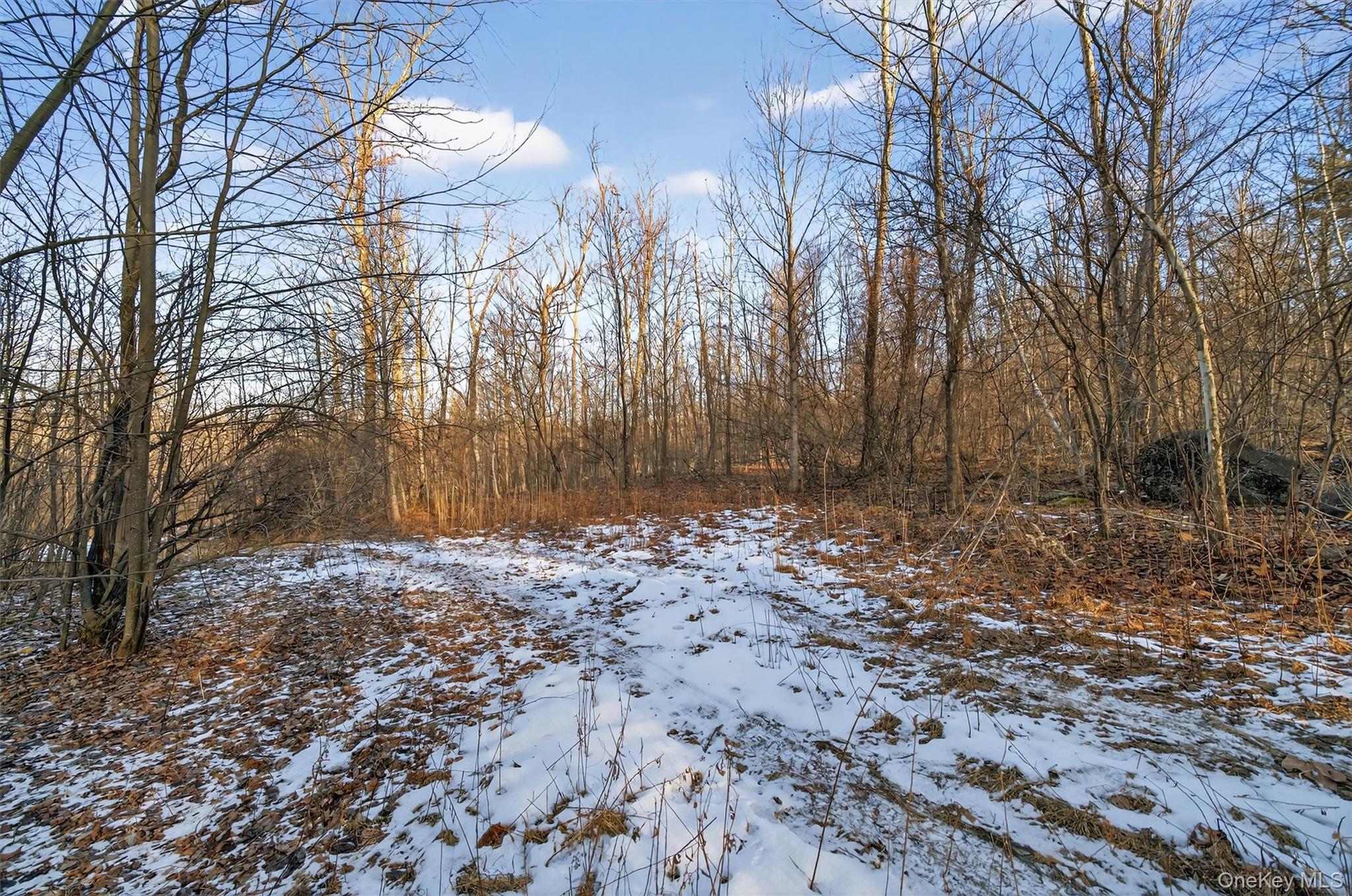 Tbd Eatontown Road Property Photo 25