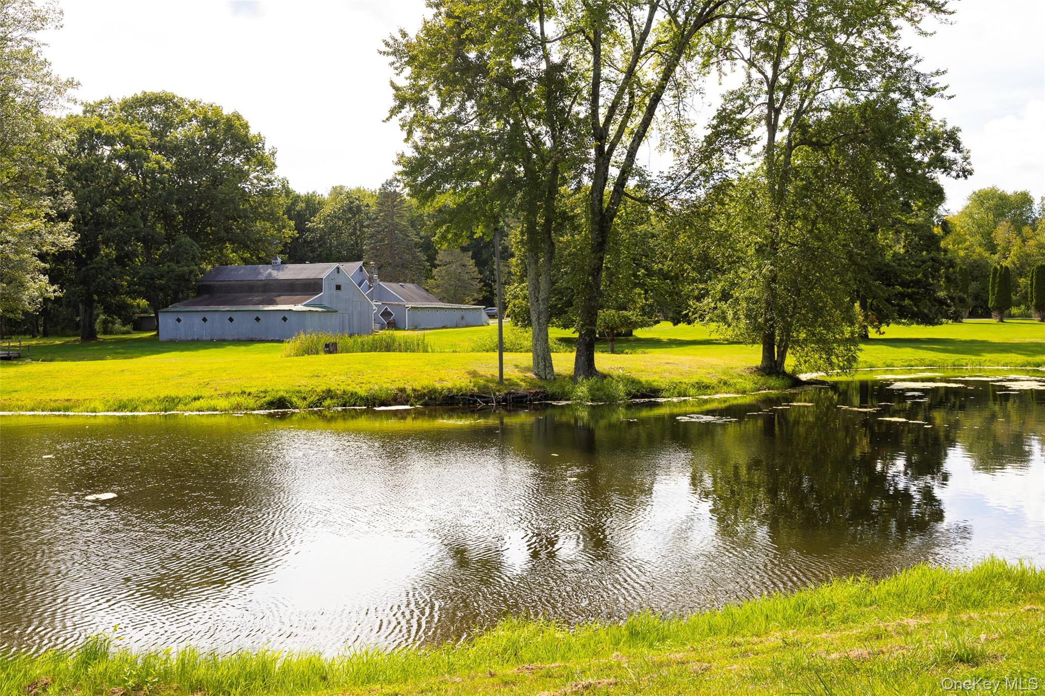 89 Deer Pond Road Property Photo 35