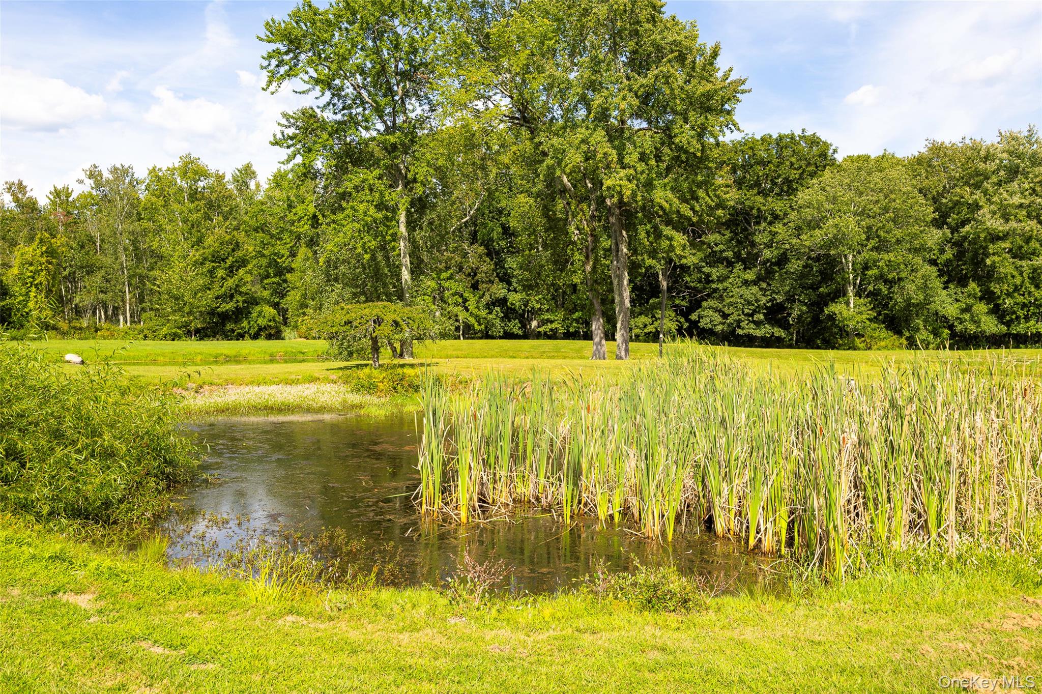 89 Deer Pond Road Property Photo 38