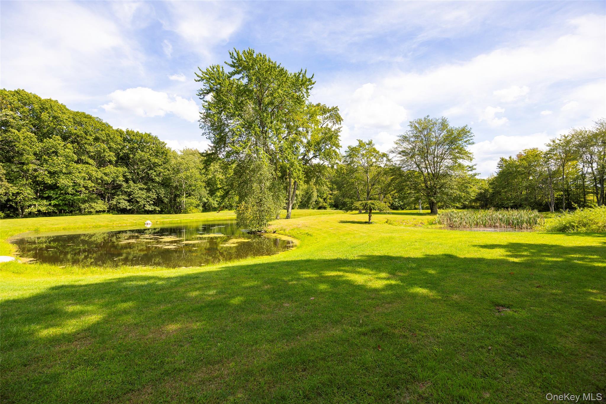89 Deer Pond Road Property Photo 39