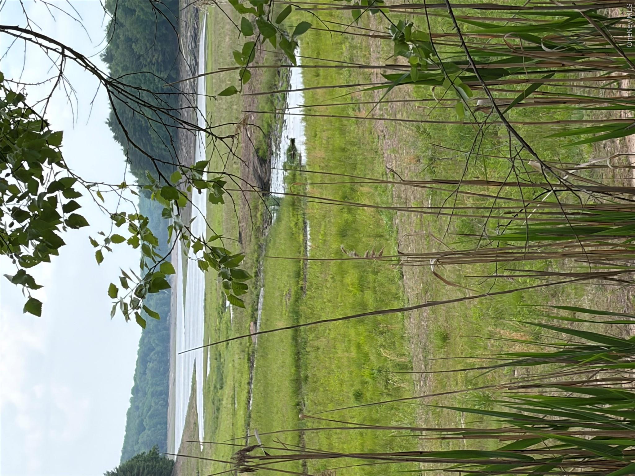 00 Moscoe Road Property Photo 1