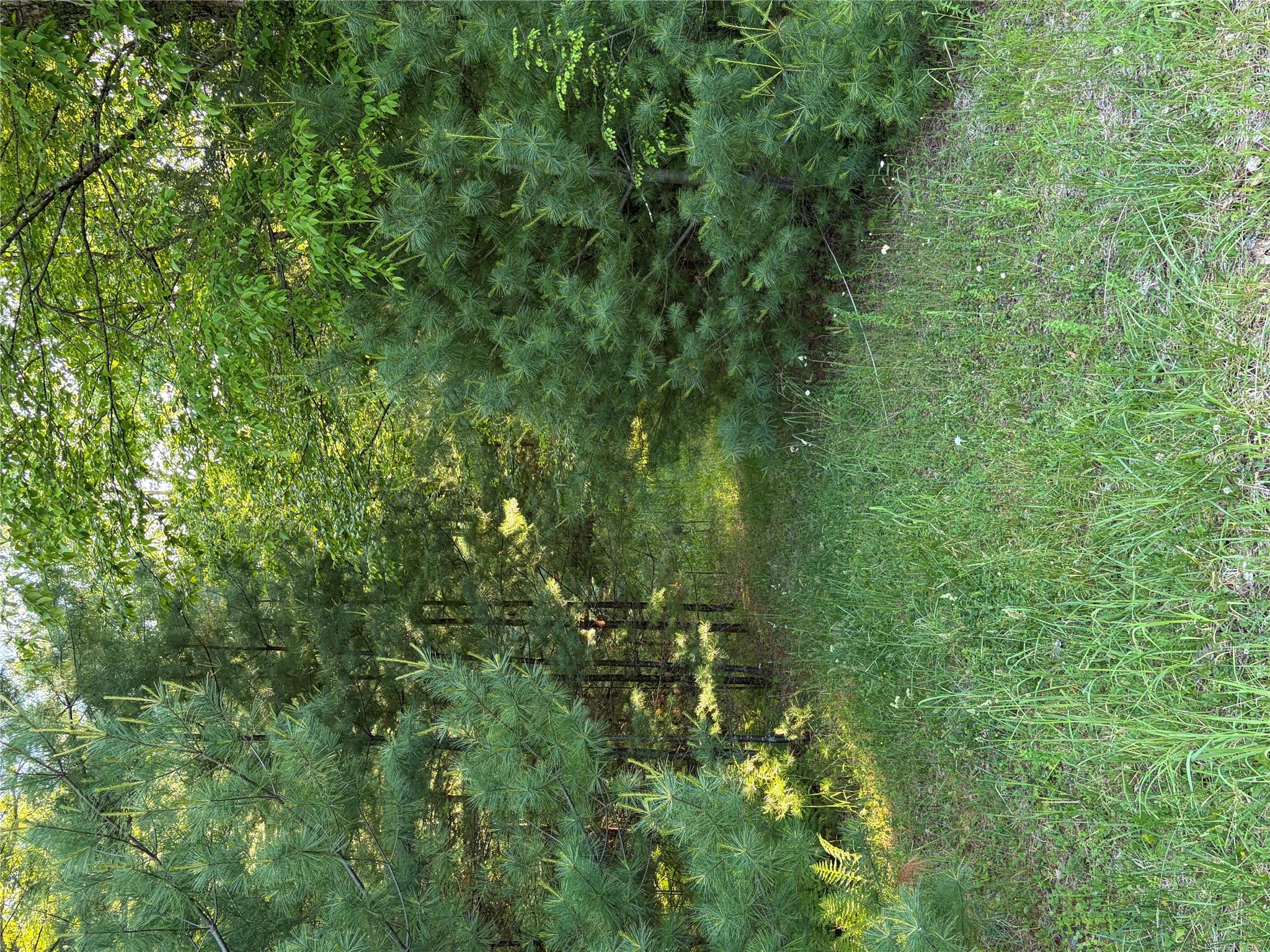 00 Moscoe Road Property Photo 12