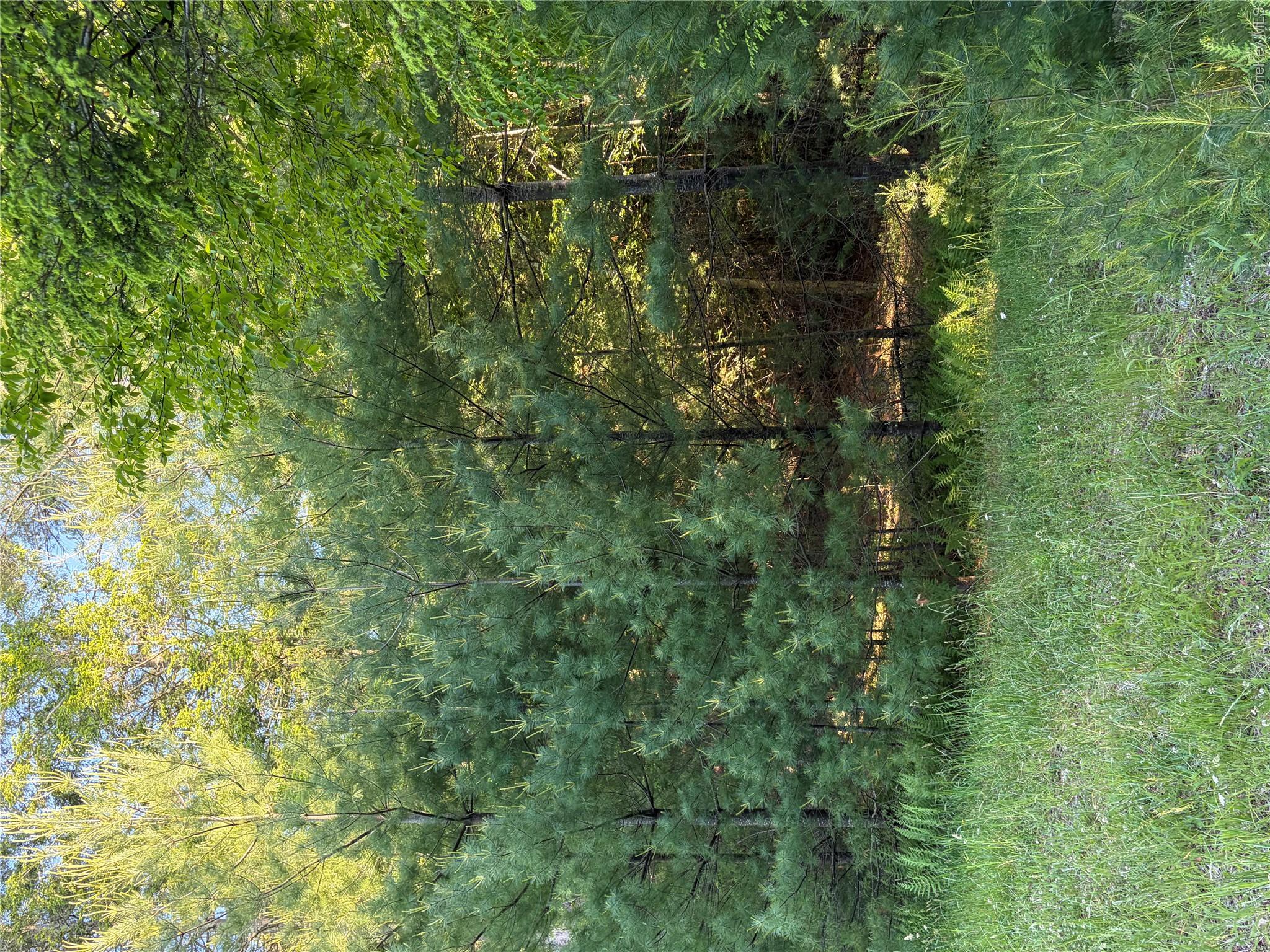 00 Moscoe Road Property Photo 15
